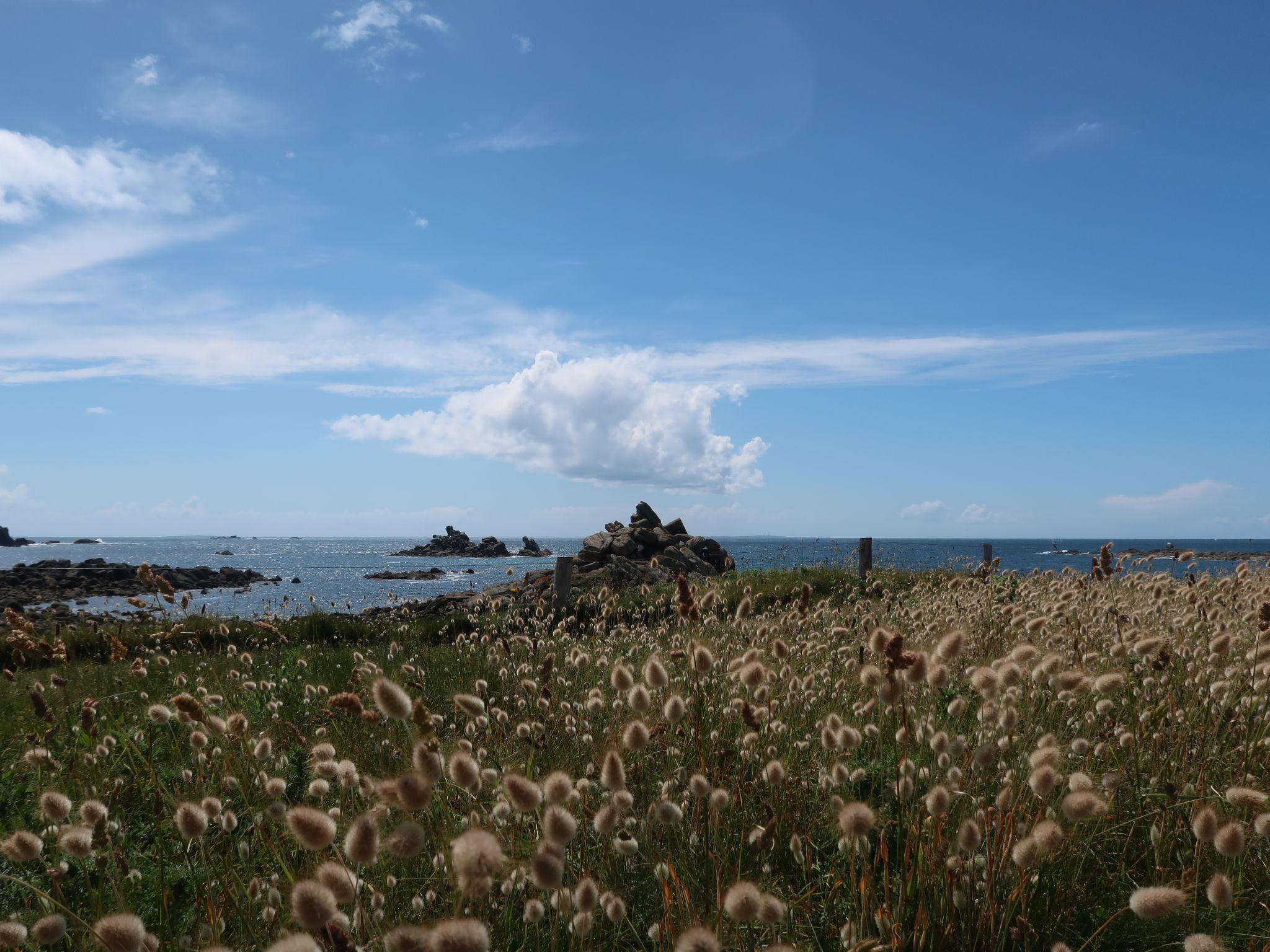 Photo 37 - Maison de 4 chambres à Porspoder avec jardin et vues à la mer