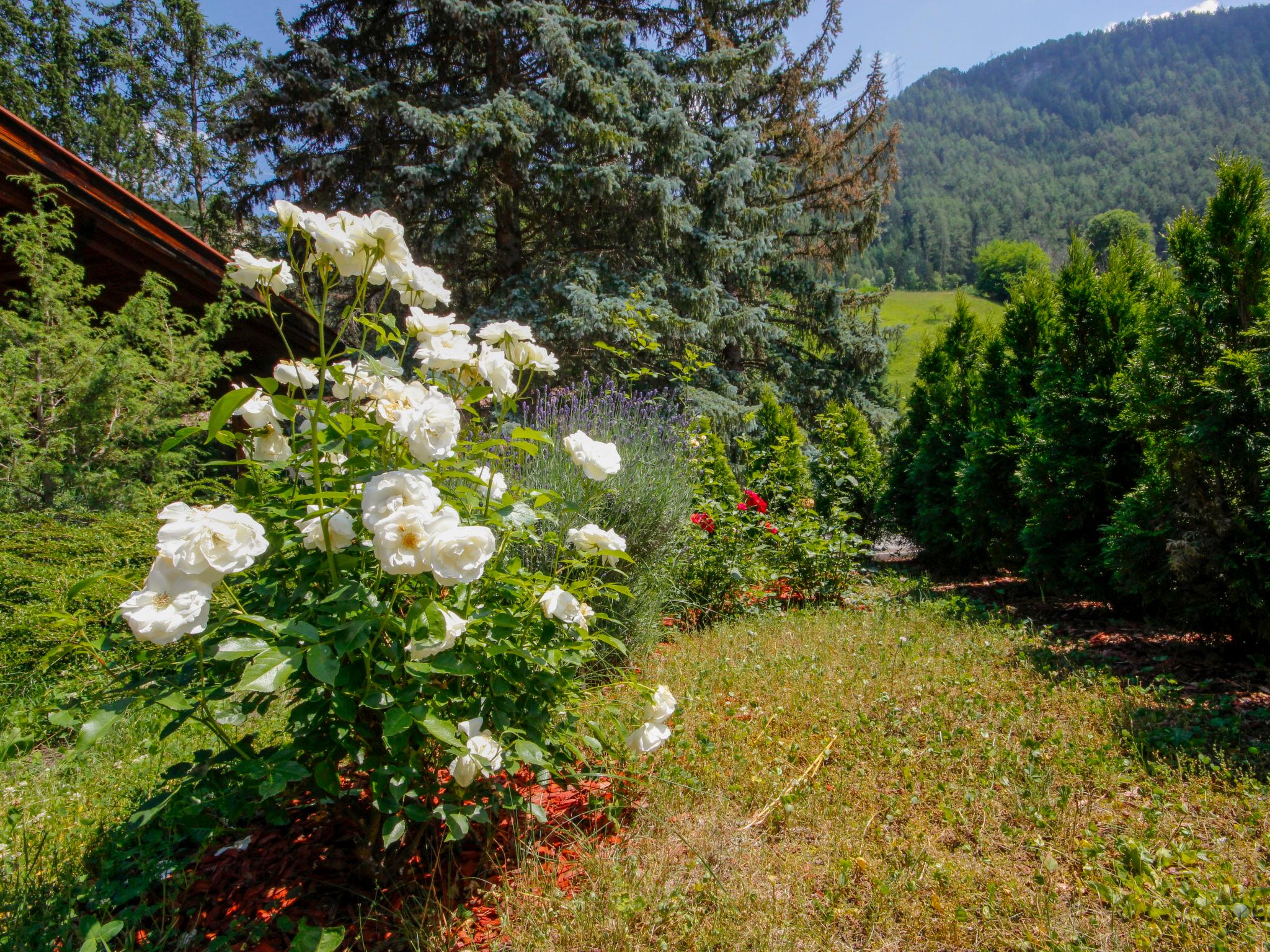 Photo 13 - Appartement de 3 chambres à Ried im Oberinntal avec jardin et vues sur la montagne