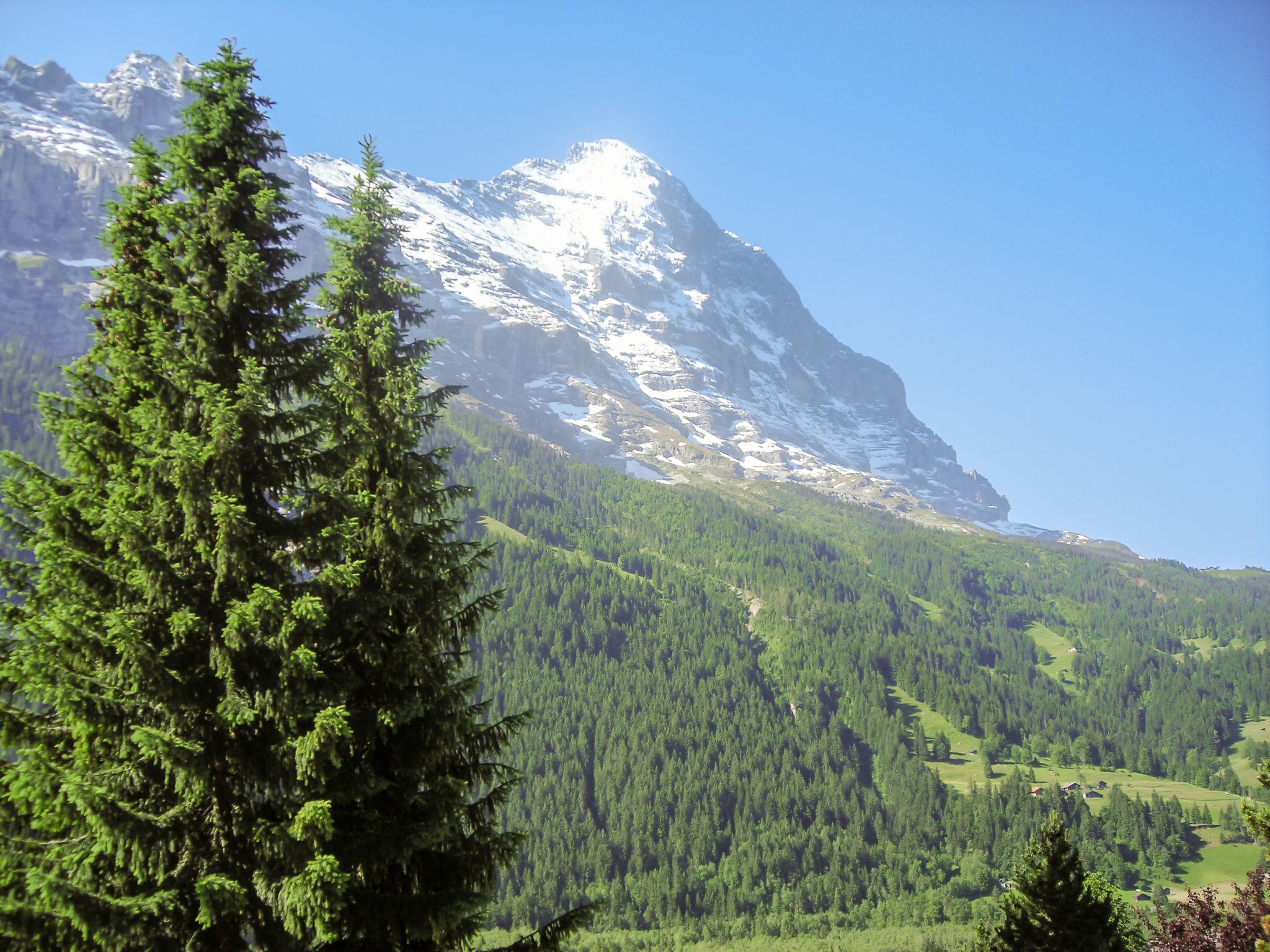 Foto 14 - Apartment mit 3 Schlafzimmern in Grindelwald mit blick auf die berge