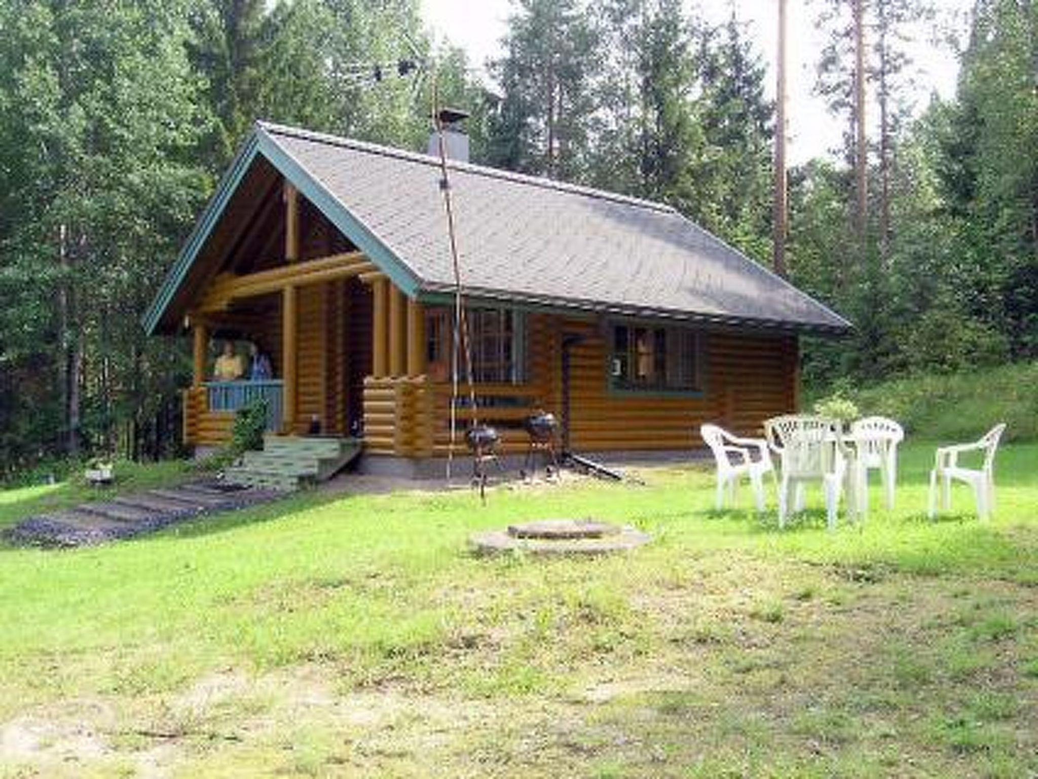 Foto 24 - Haus mit 1 Schlafzimmer in Äänekoski mit sauna