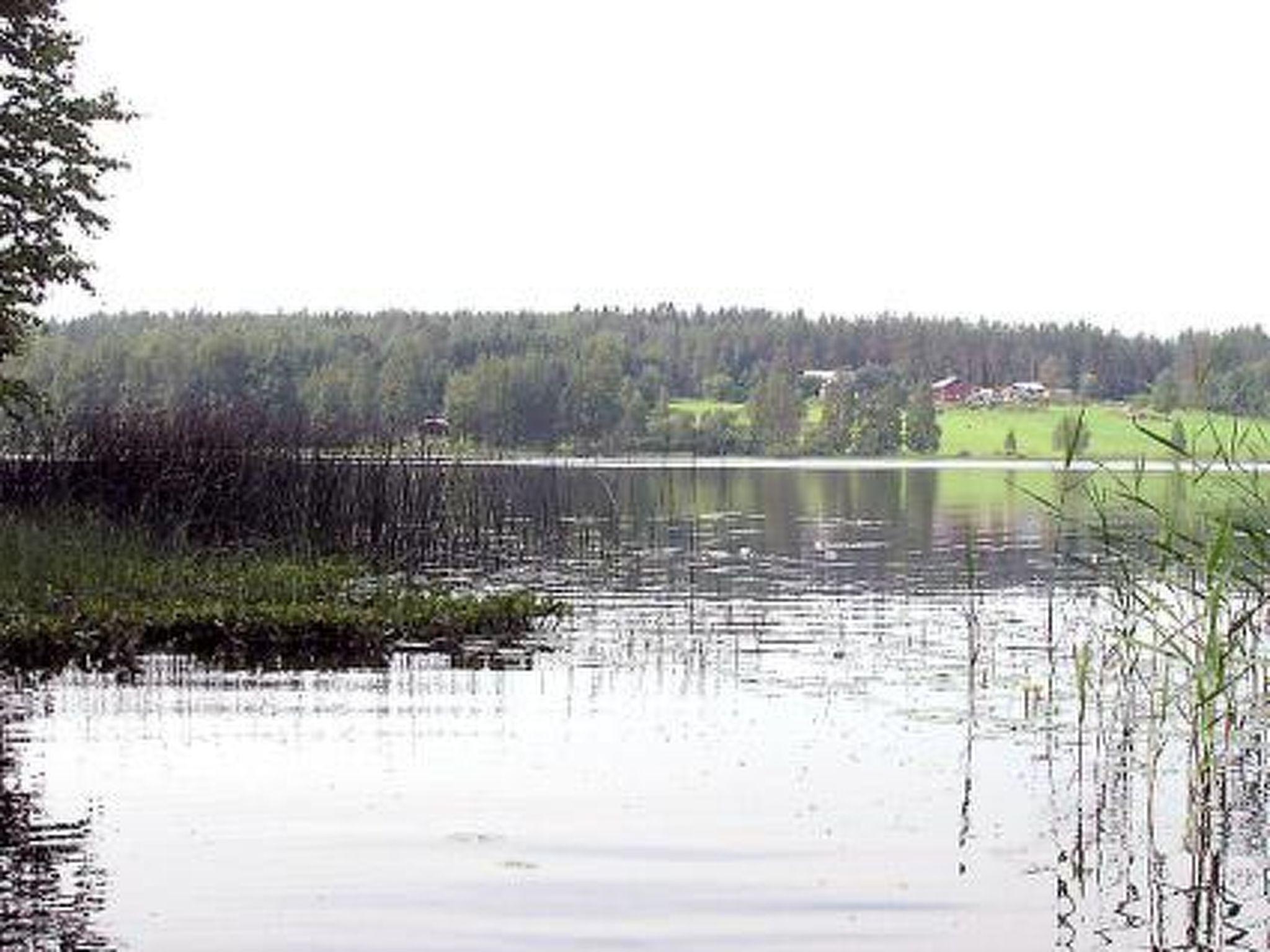 Foto 9 - Haus mit 1 Schlafzimmer in Äänekoski mit sauna