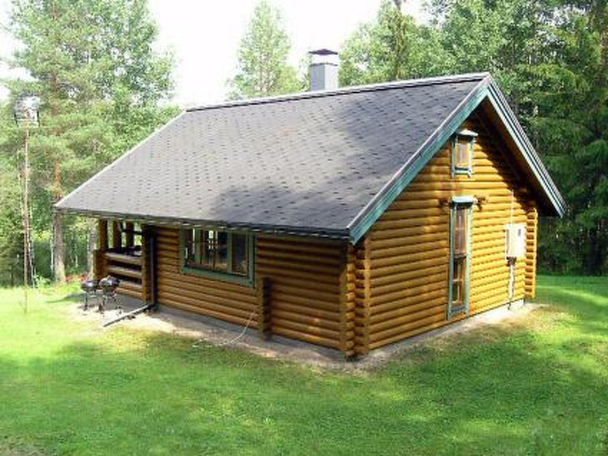 Foto 25 - Haus mit 1 Schlafzimmer in Äänekoski mit sauna