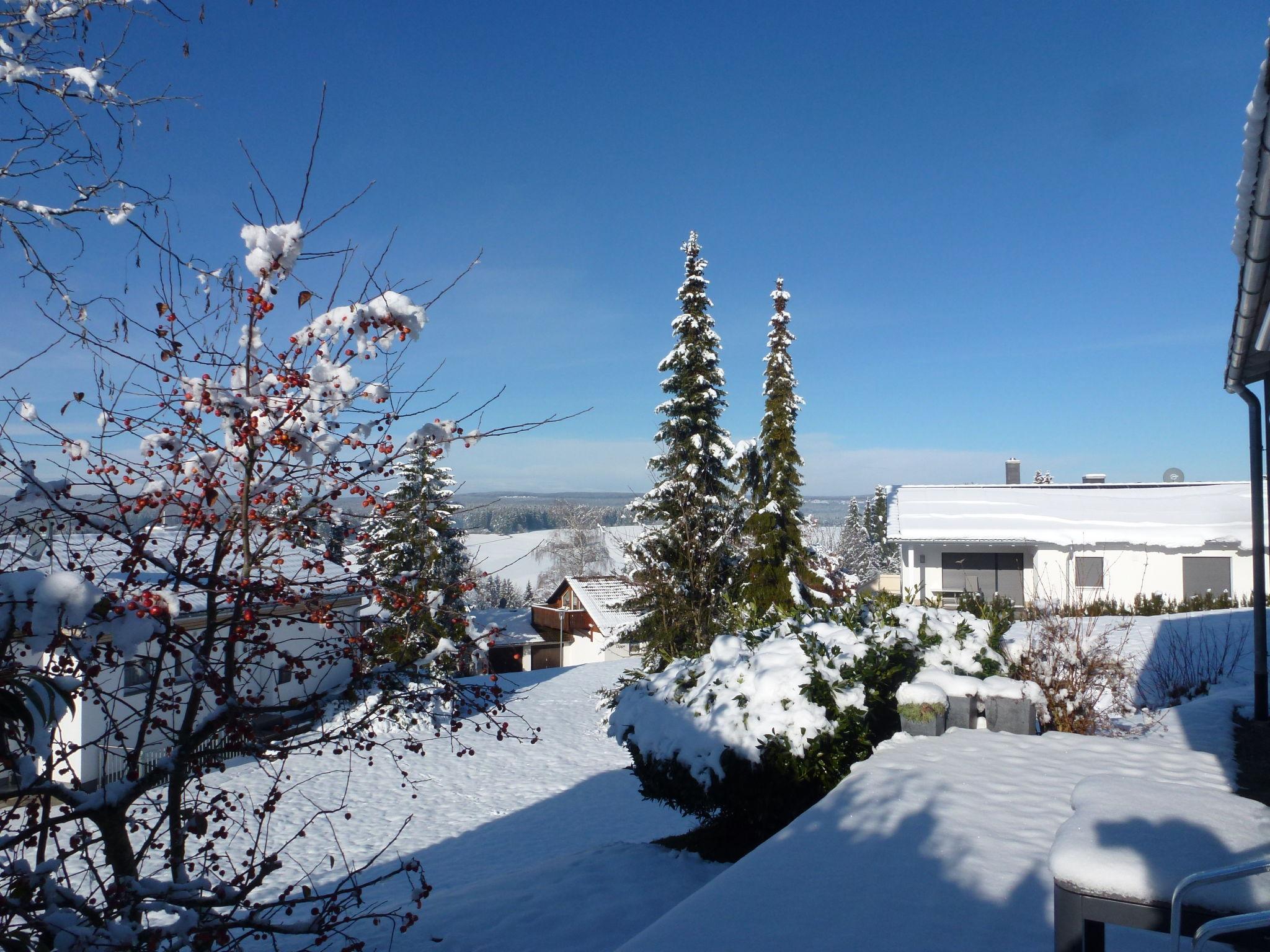 Foto 30 - Casa de 2 quartos em Löffingen com terraço e vista para a montanha