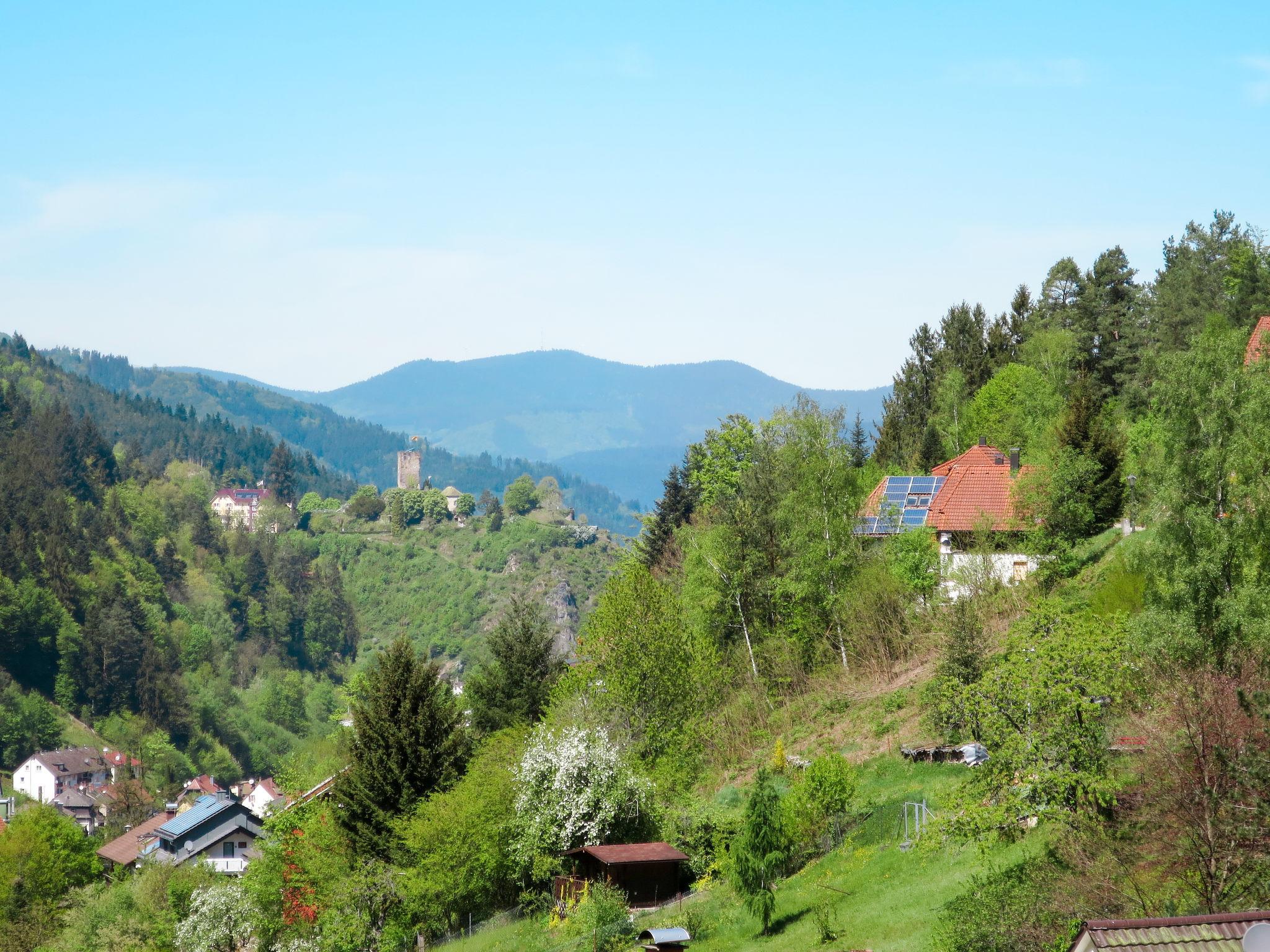 Photo 22 - 3 bedroom House in Hornberg with garden