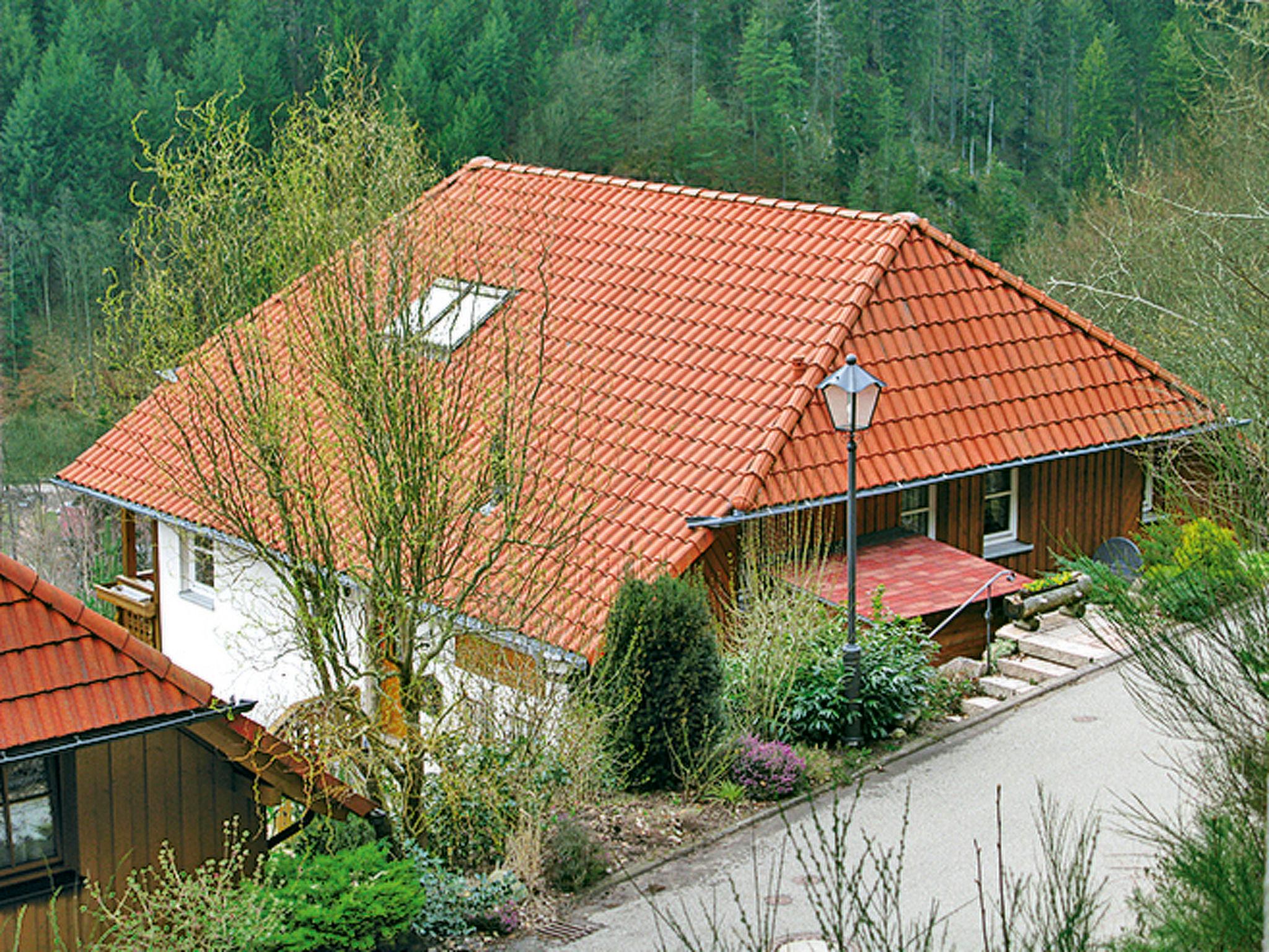 Photo 1 - Maison de 3 chambres à Hornberg avec jardin