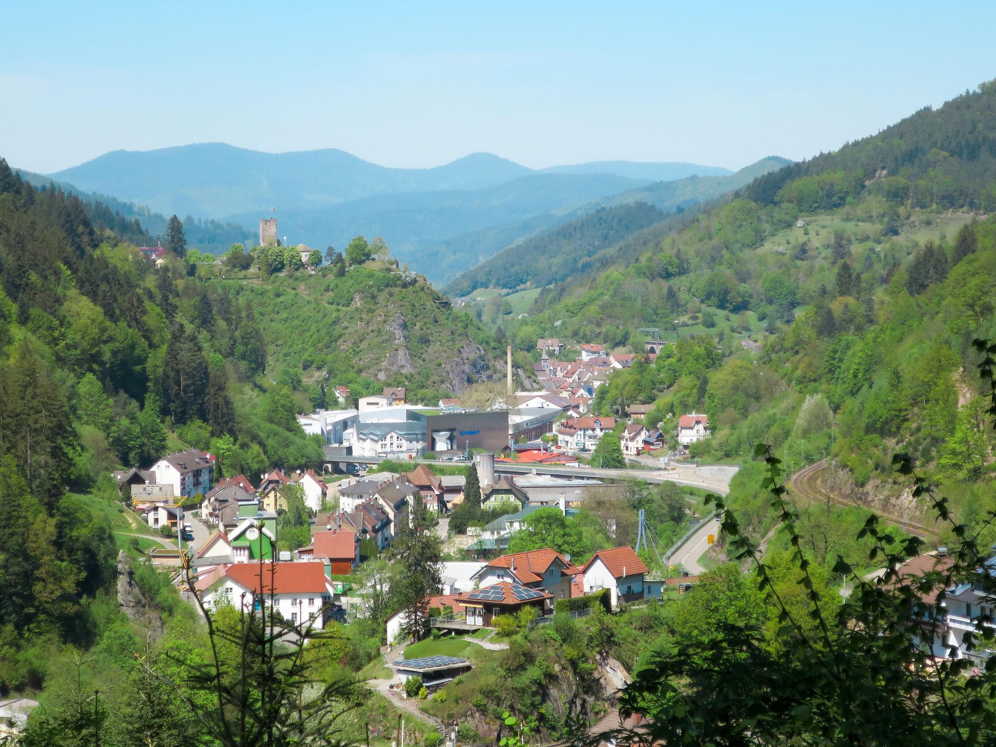 Photo 23 - 3 bedroom House in Hornberg with garden