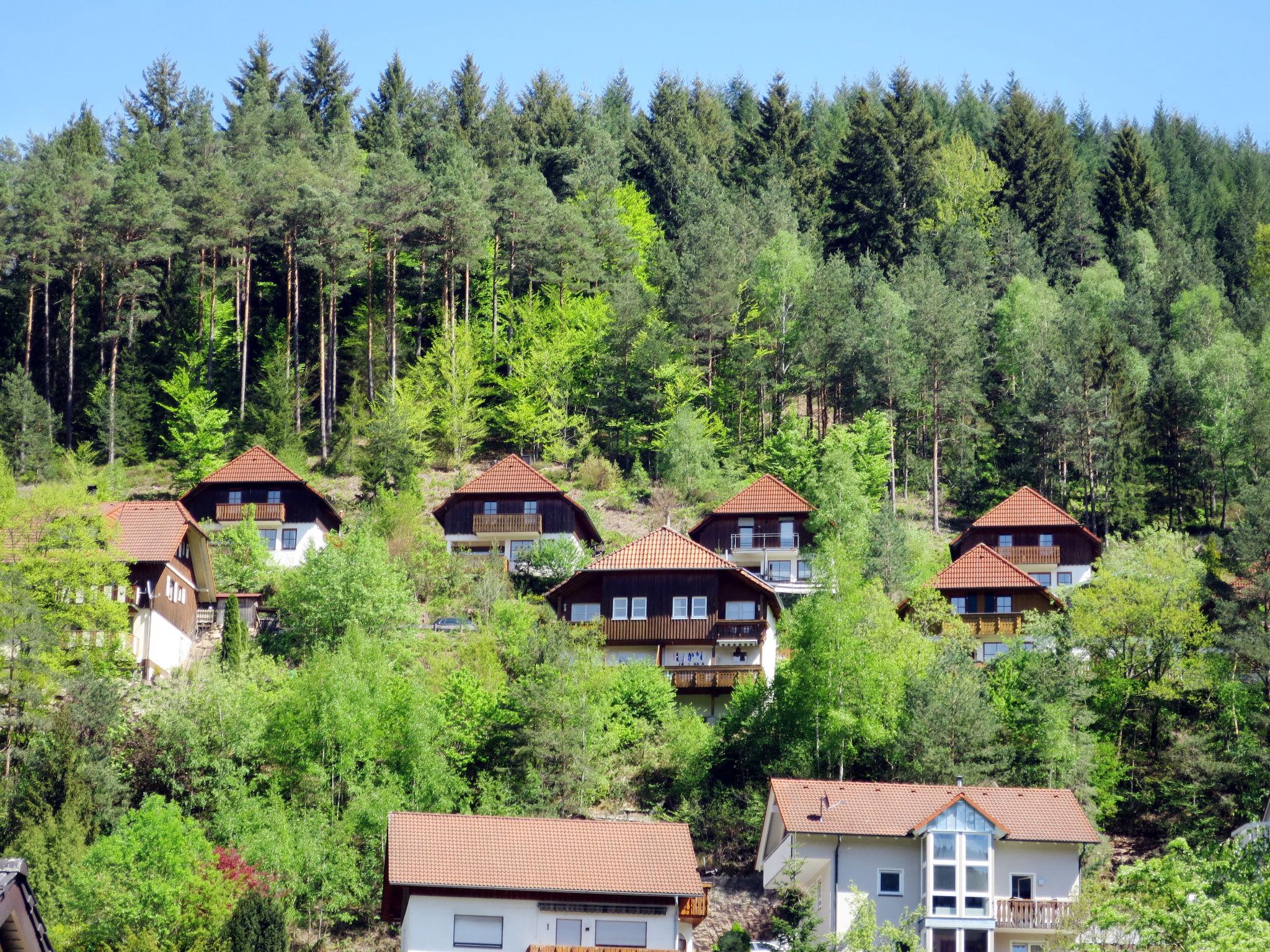 Foto 4 - Haus mit 3 Schlafzimmern in Hornberg mit garten