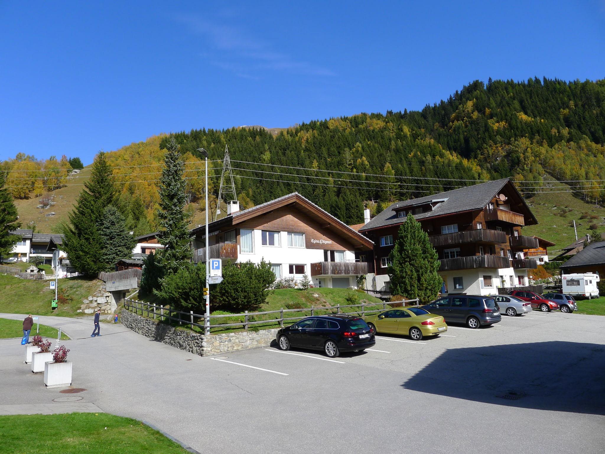 Photo 15 - 2 bedroom Apartment in Tujetsch with garden and mountain view