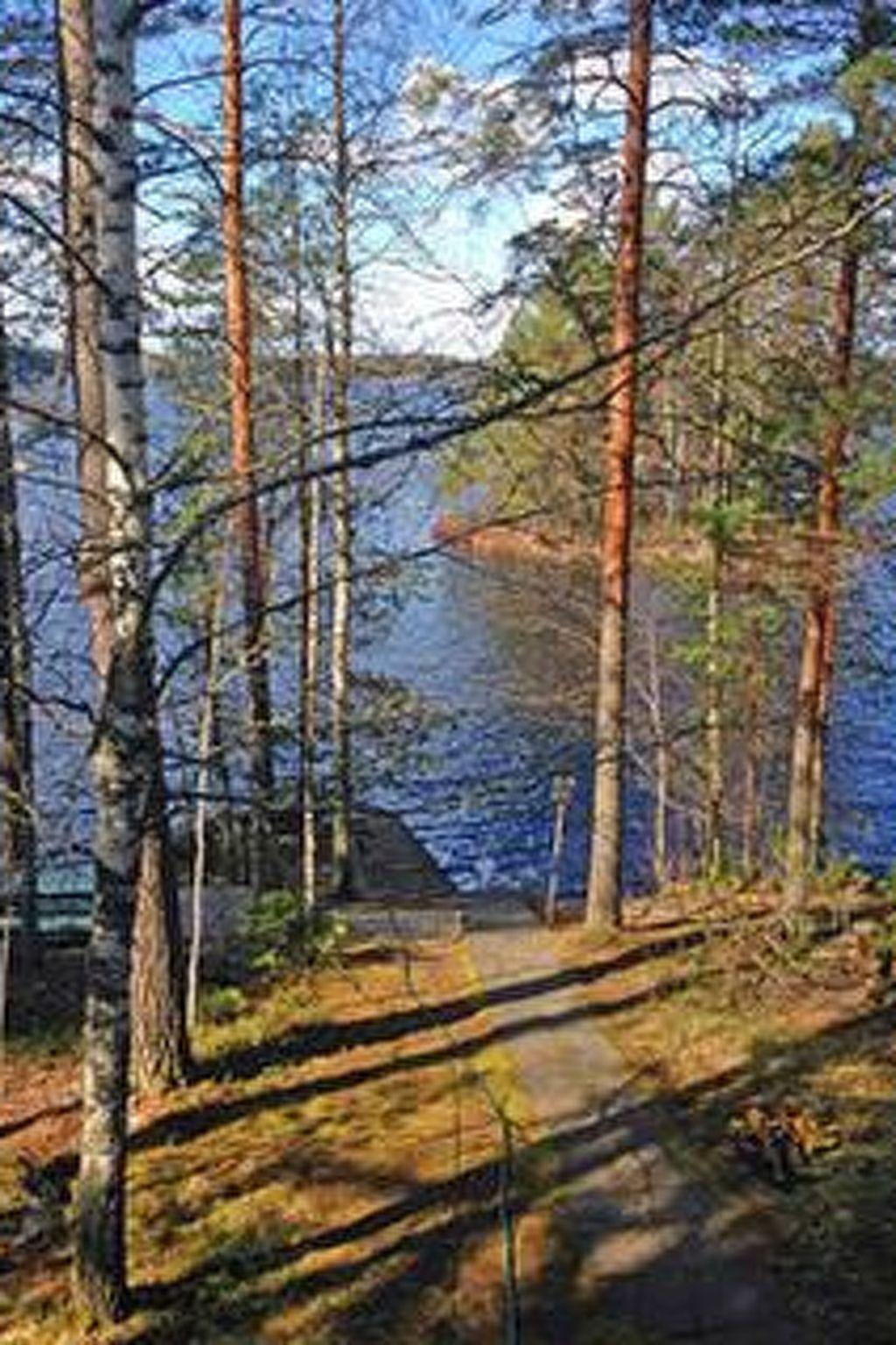 Photo 37 - Maison de 2 chambres à Hämeenlinna avec sauna