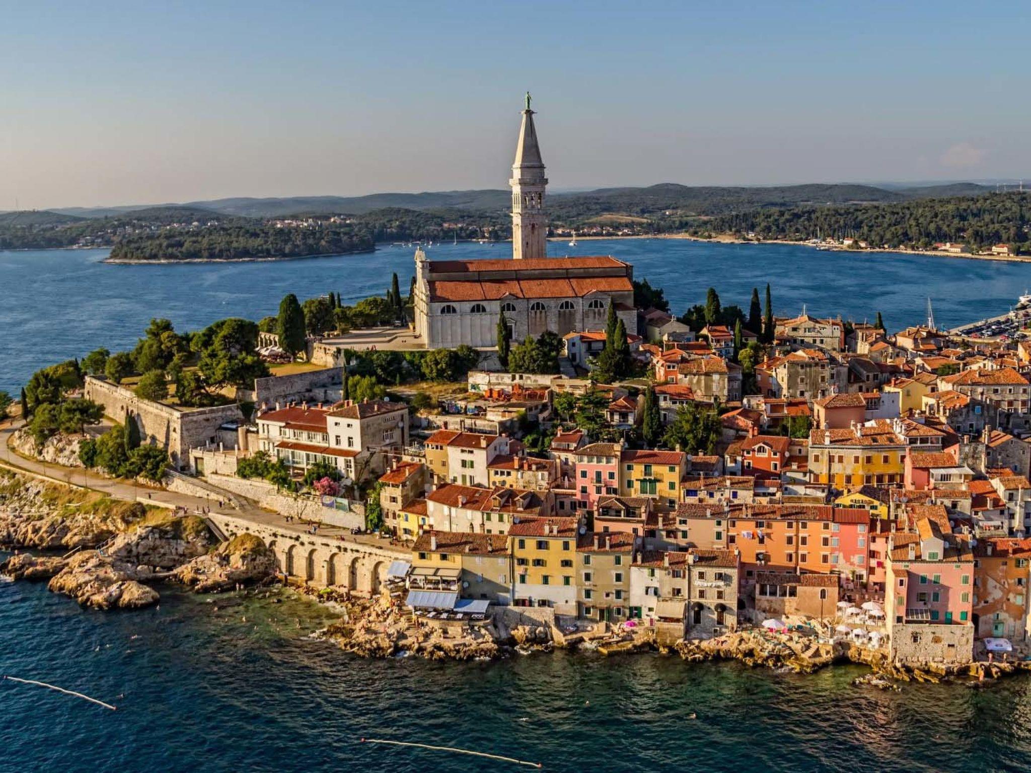 Foto 13 - Appartamento con 1 camera da letto a Rovinj con piscina e vista mare