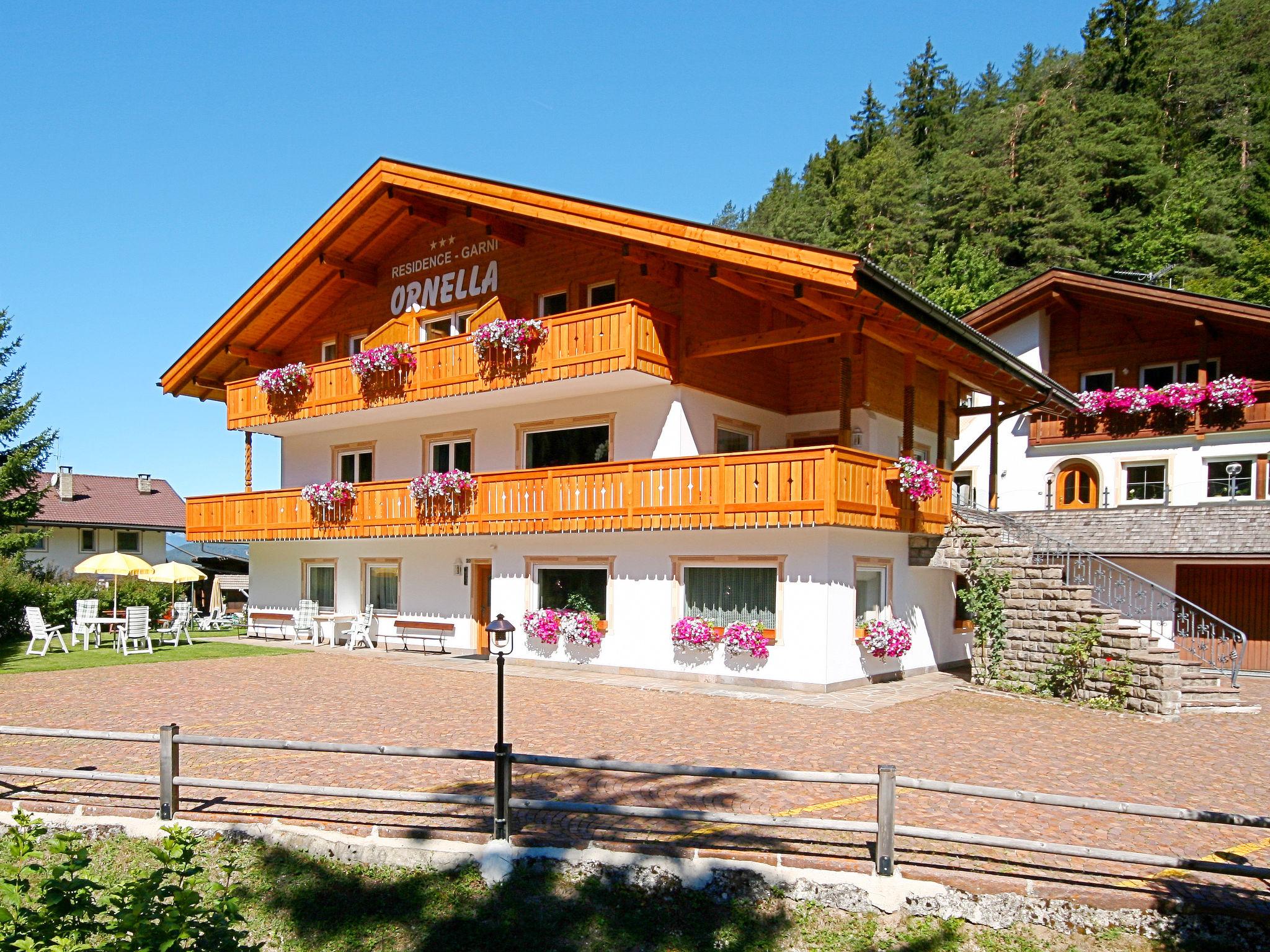 Photo 13 - Appartement de 3 chambres à Santa Cristina Valgardena avec jardin