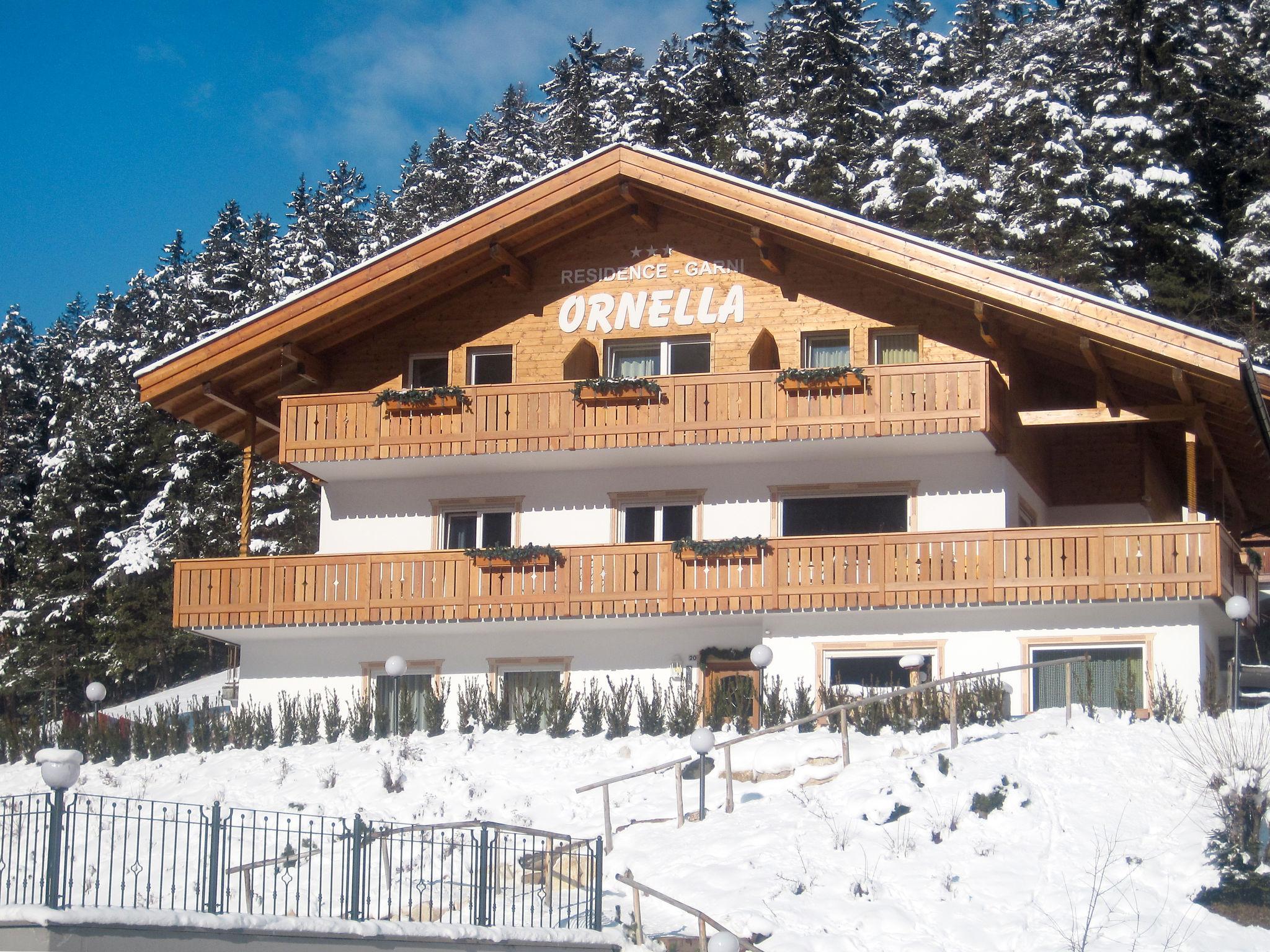 Photo 17 - Appartement de 2 chambres à Santa Cristina Valgardena avec jardin