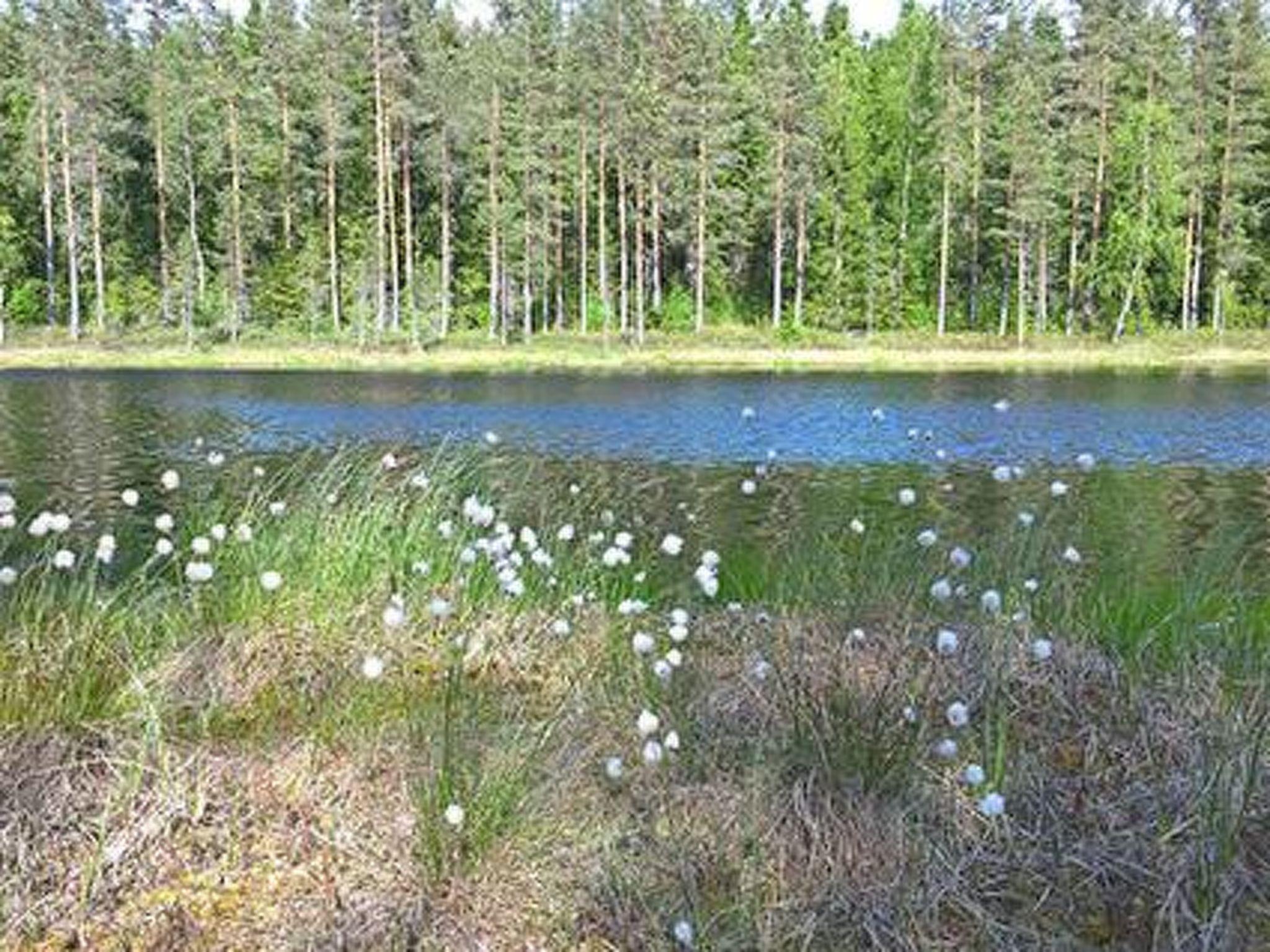 Foto 6 - Casa de 1 quarto em Ikaalinen com sauna