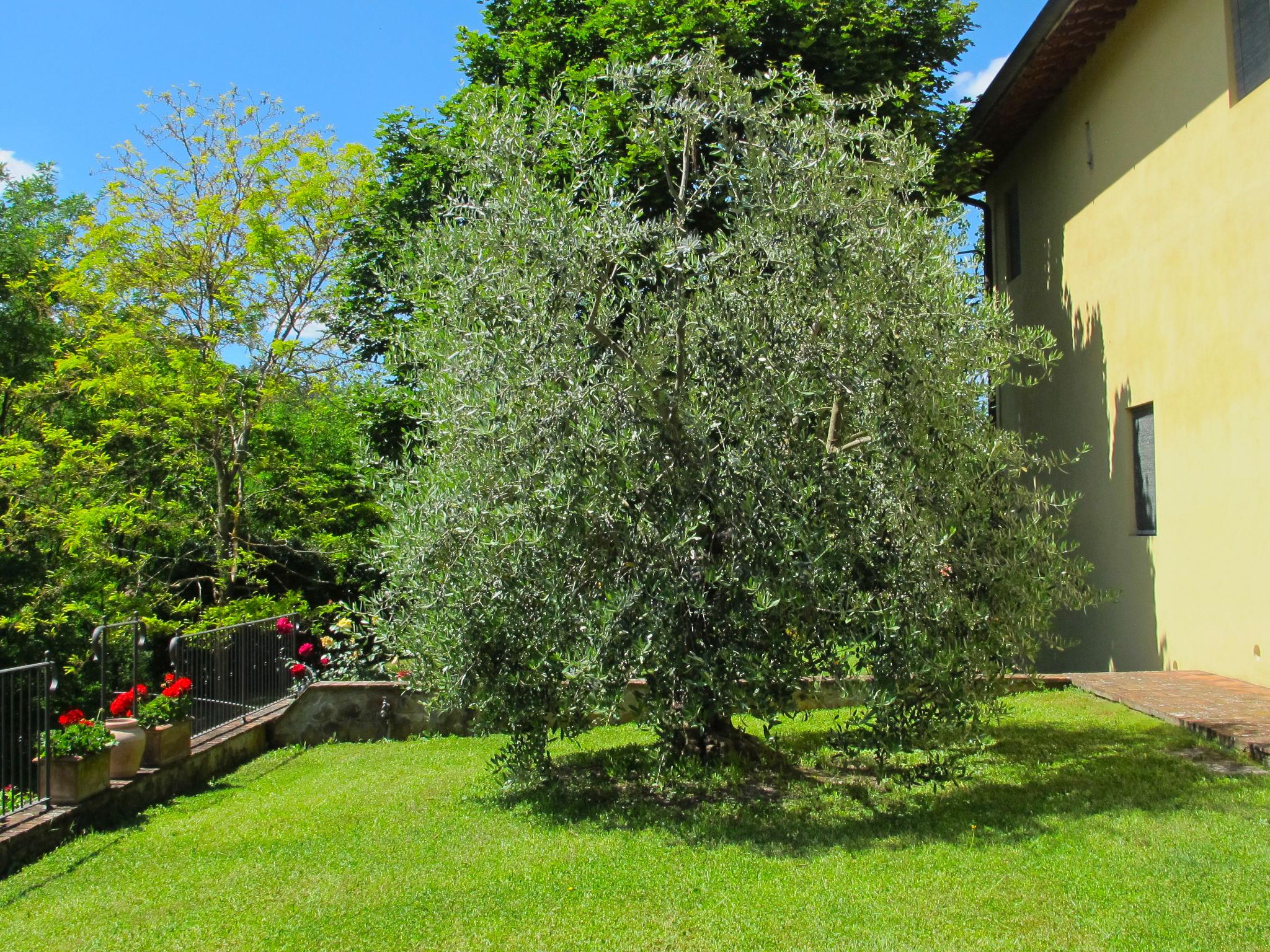 Photo 23 - Appartement de 2 chambres à San Giovanni Valdarno avec piscine et jardin