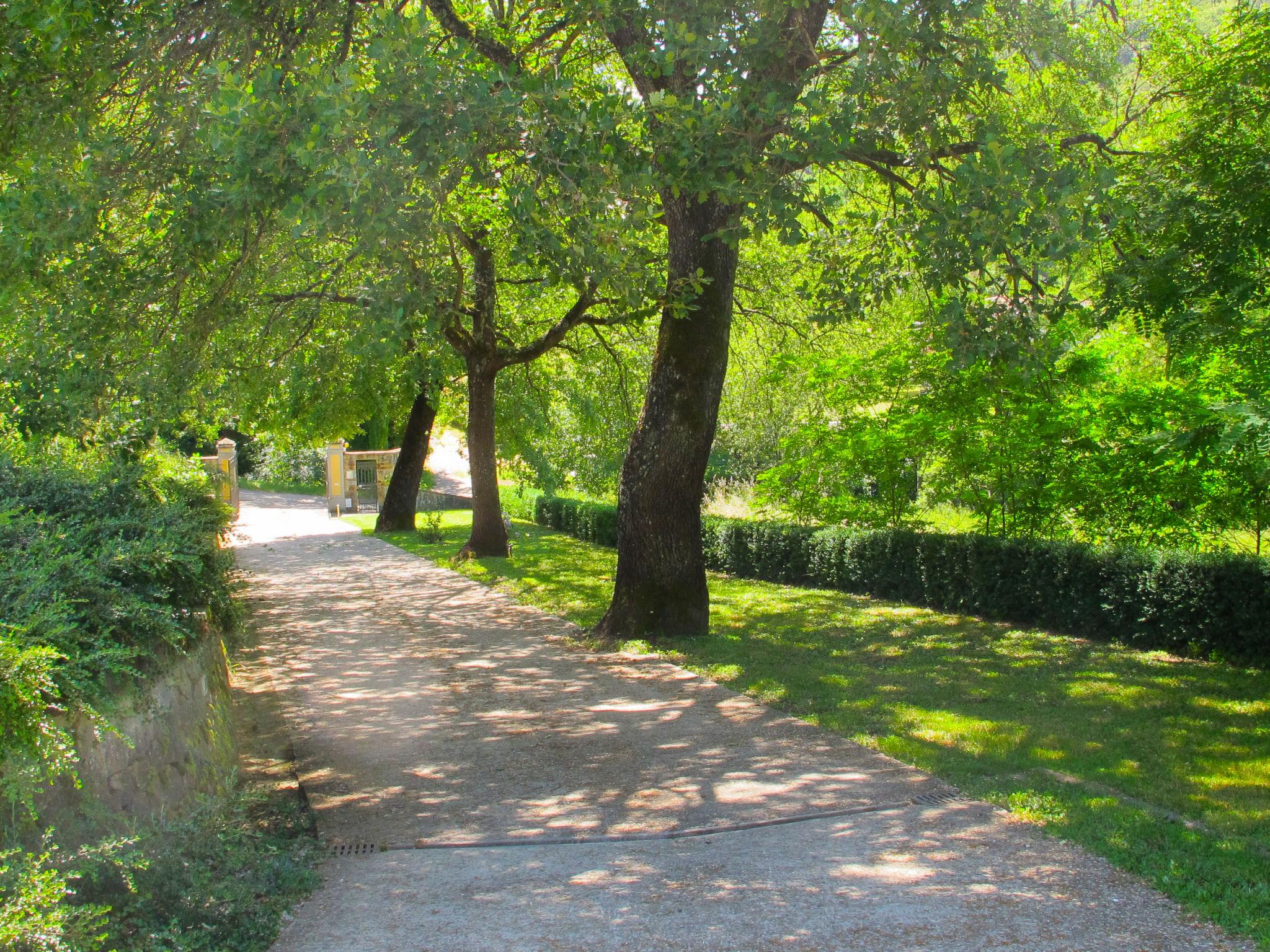 Foto 40 - Appartamento con 2 camere da letto a San Giovanni Valdarno con piscina e giardino