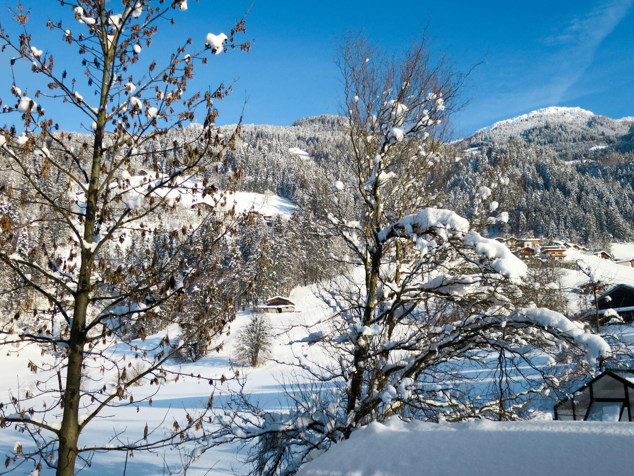 Photo 30 - Appartement de 5 chambres à Ramsau im Zillertal avec jardin et vues sur la montagne