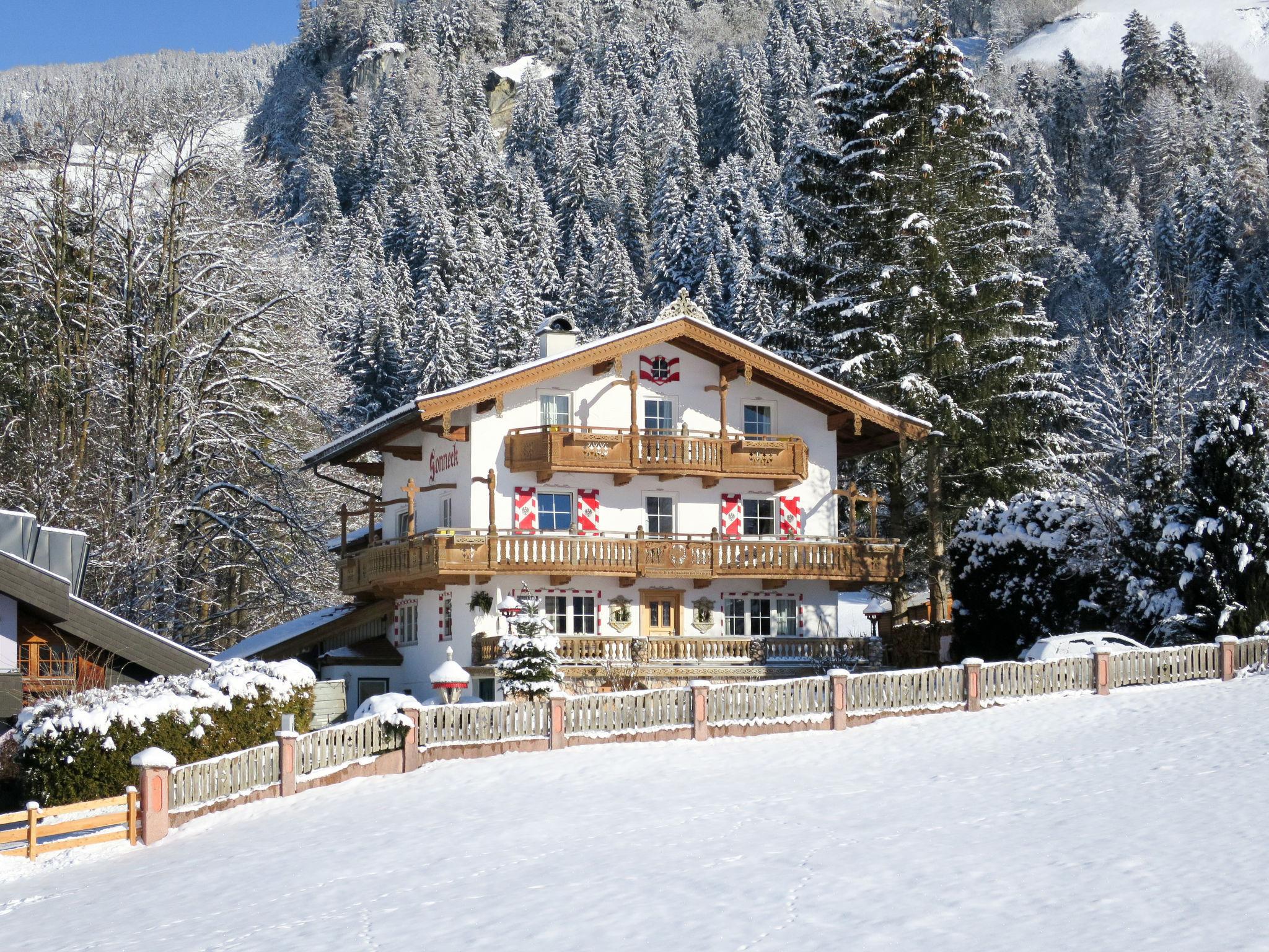 Photo 29 - Appartement de 5 chambres à Ramsau im Zillertal avec jardin et vues sur la montagne