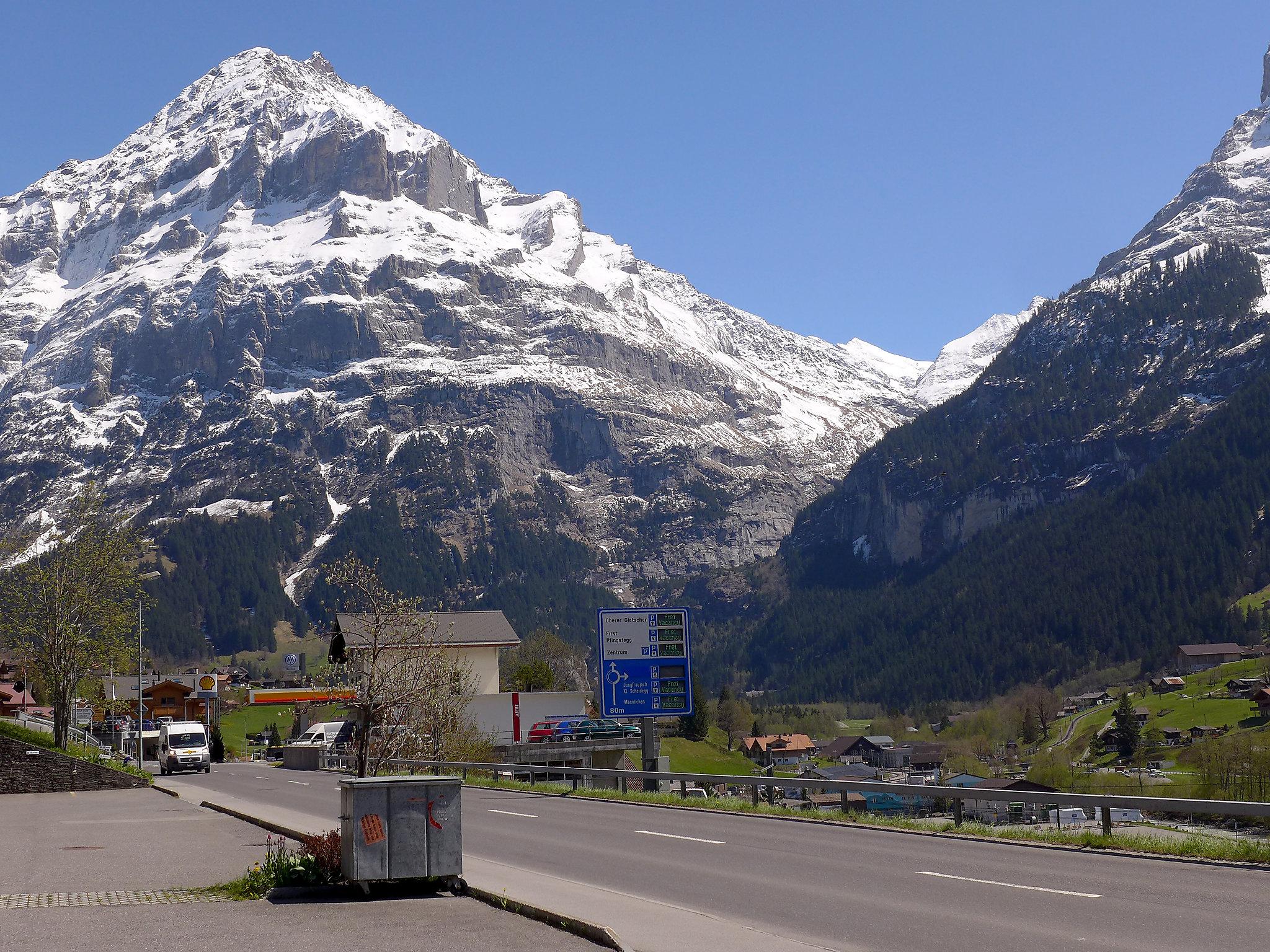 Foto 24 - Apartamento de 2 quartos em Grindelwald com jardim