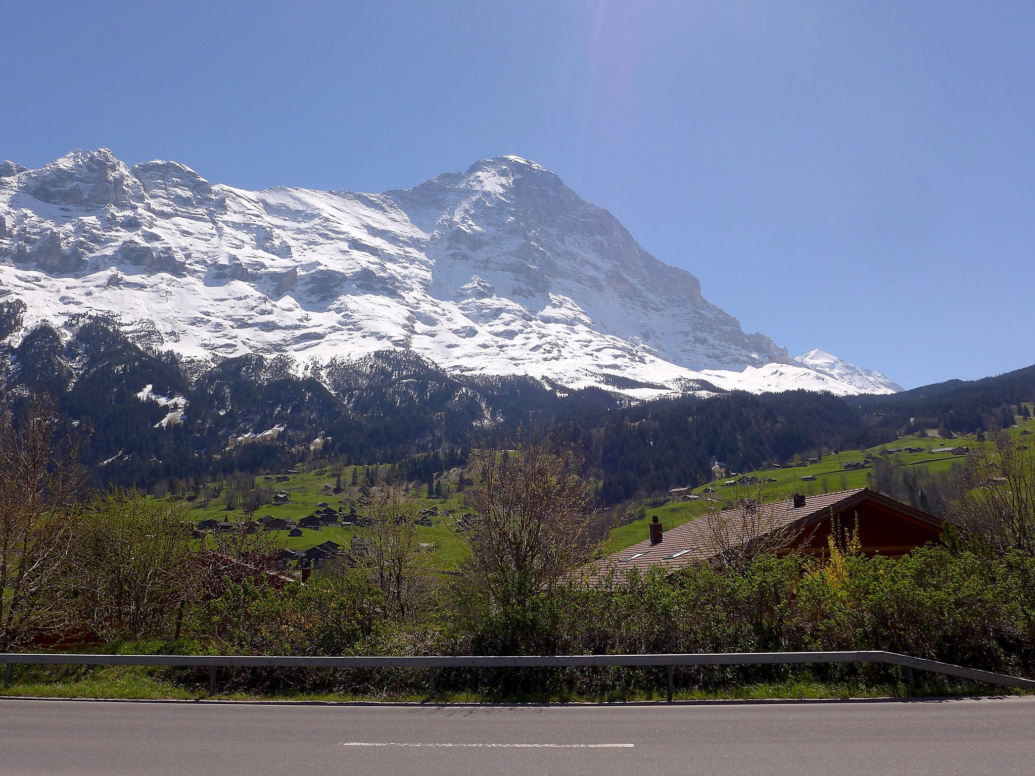 Foto 4 - Apartamento de 2 quartos em Grindelwald com jardim e vista para a montanha