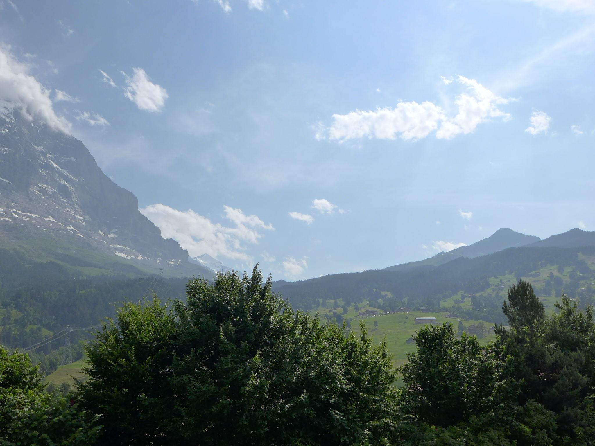 Foto 15 - Appartamento con 2 camere da letto a Grindelwald con giardino e vista sulle montagne