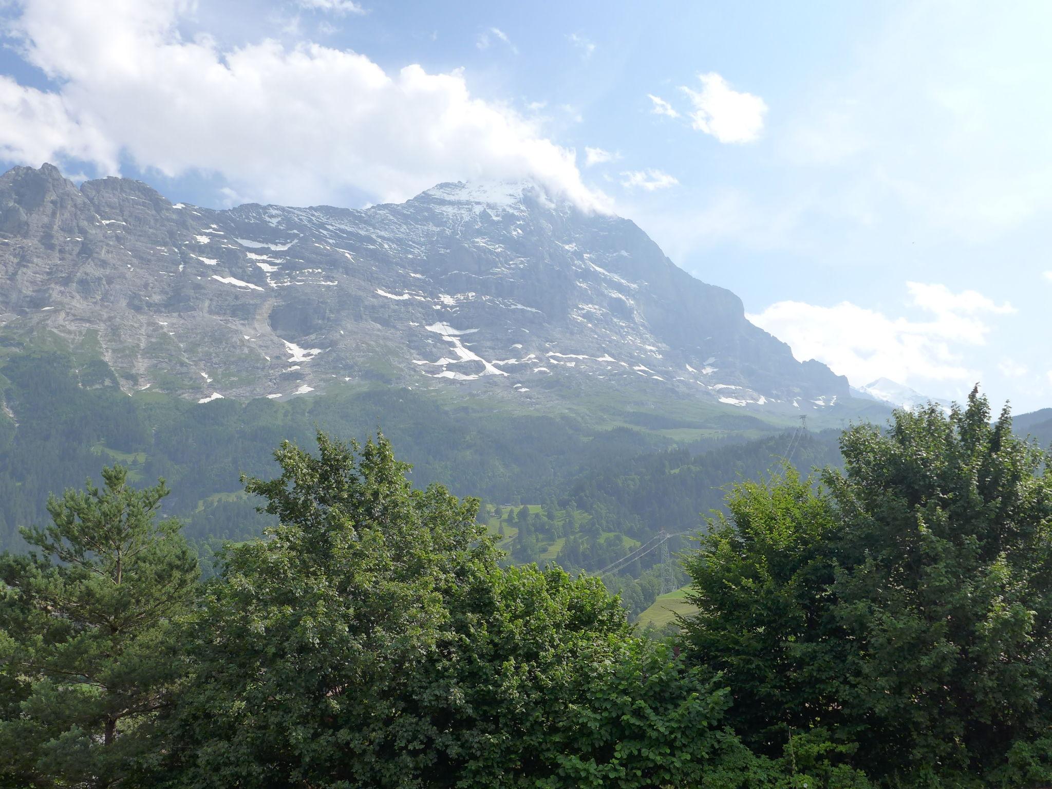 Foto 16 - Apartamento de 2 habitaciones en Grindelwald con jardín y vistas a la montaña