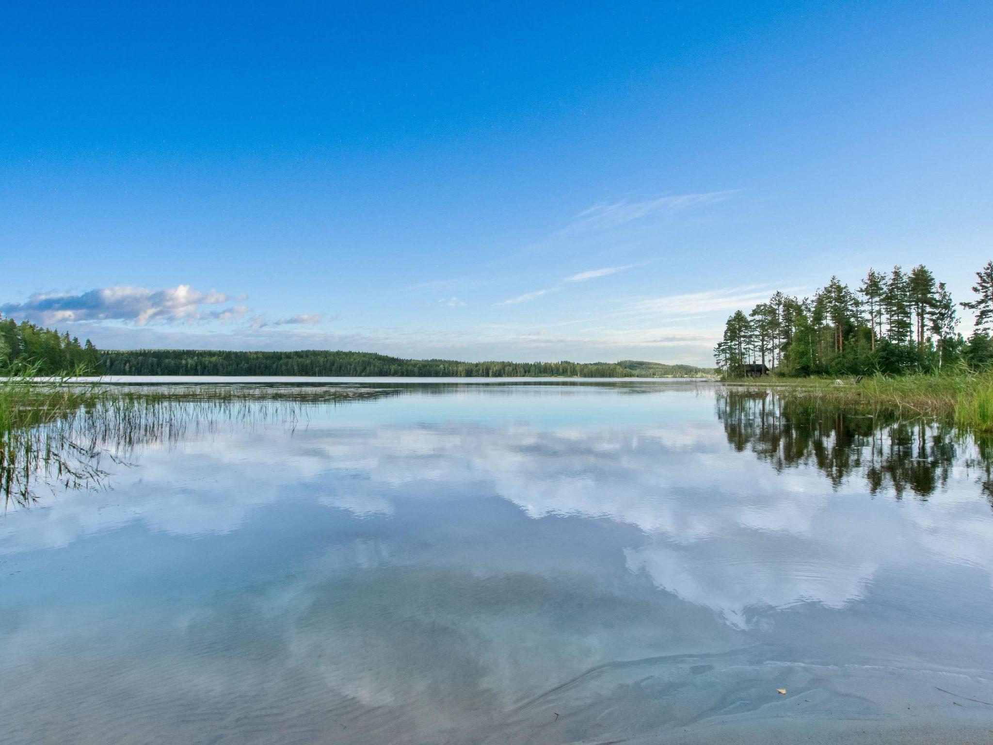 Foto 24 - Haus mit 3 Schlafzimmern in Saarijärvi mit sauna