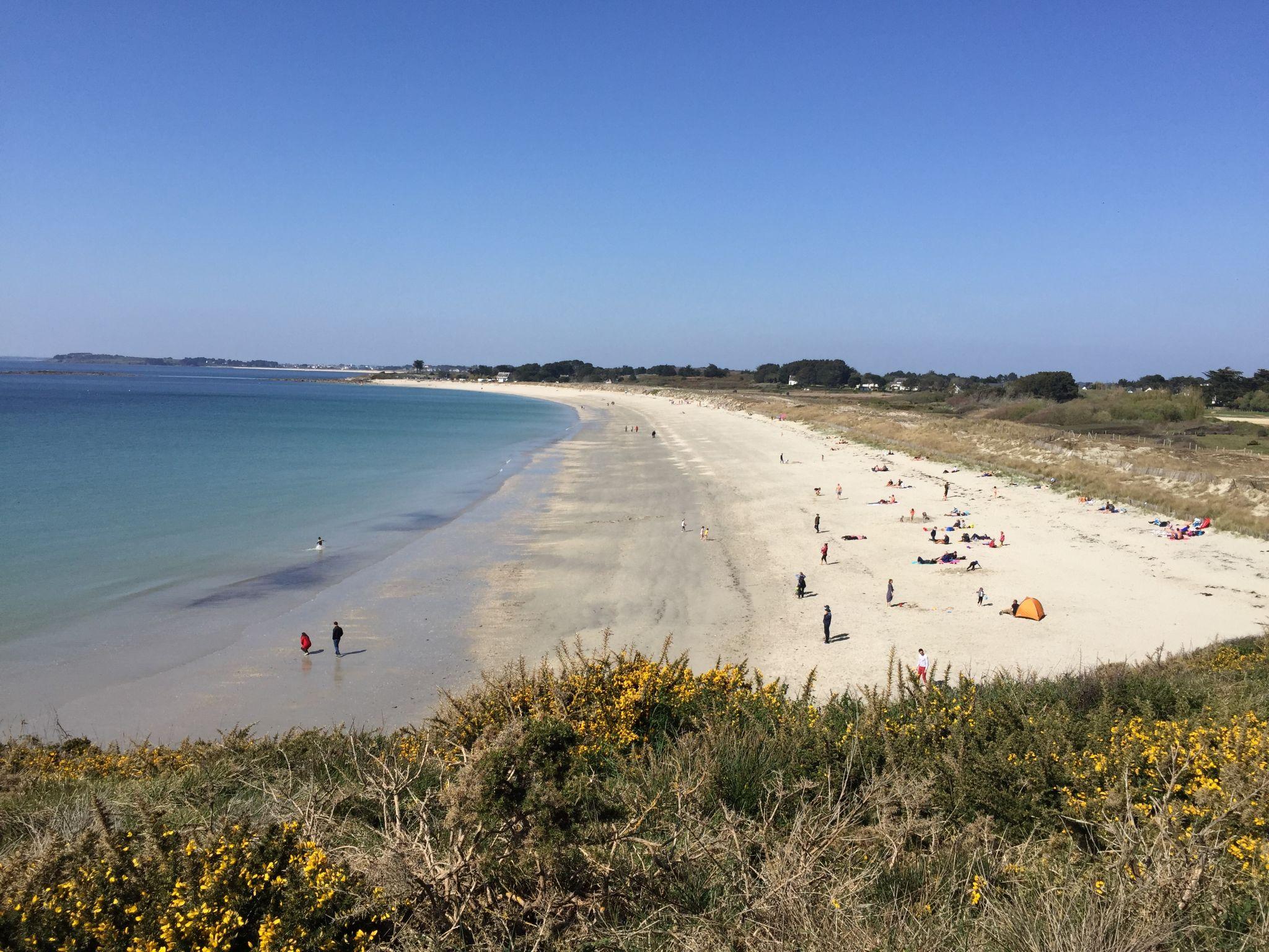 Foto 43 - Haus mit 6 Schlafzimmern in Saint-Gildas-de-Rhuys mit garten und blick aufs meer