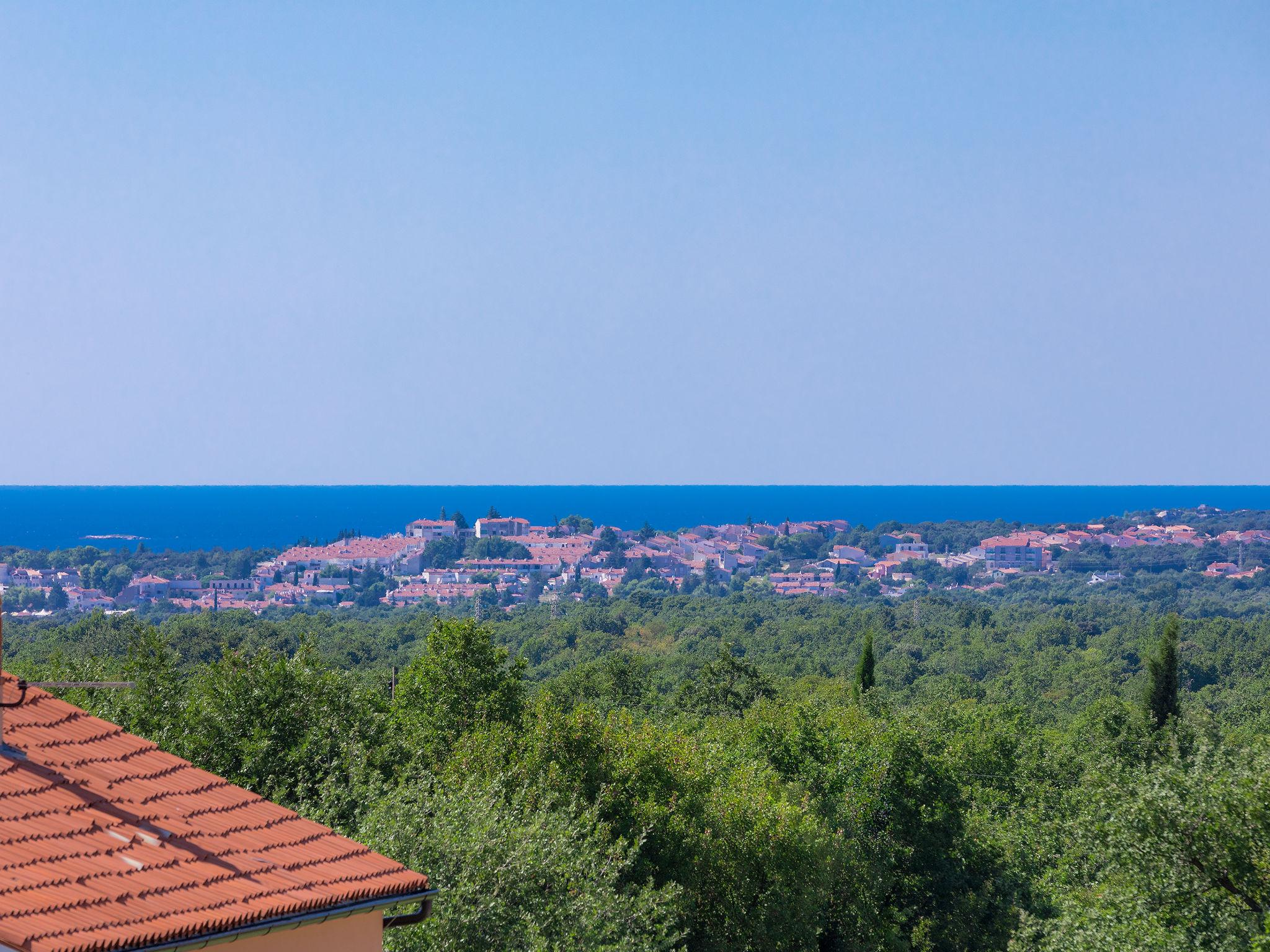 Foto 56 - Casa de 8 quartos em Vodnjan com piscina privada e vistas do mar