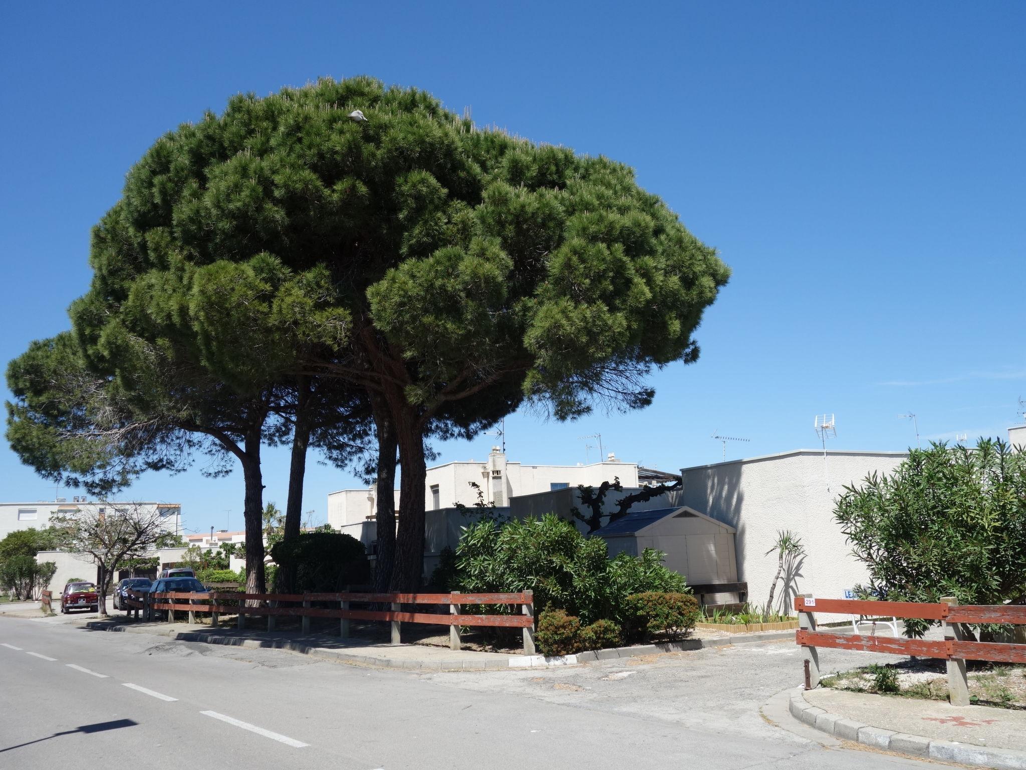 Foto 16 - Casa con 2 camere da letto a Le Grau-du-Roi con terrazza e vista mare