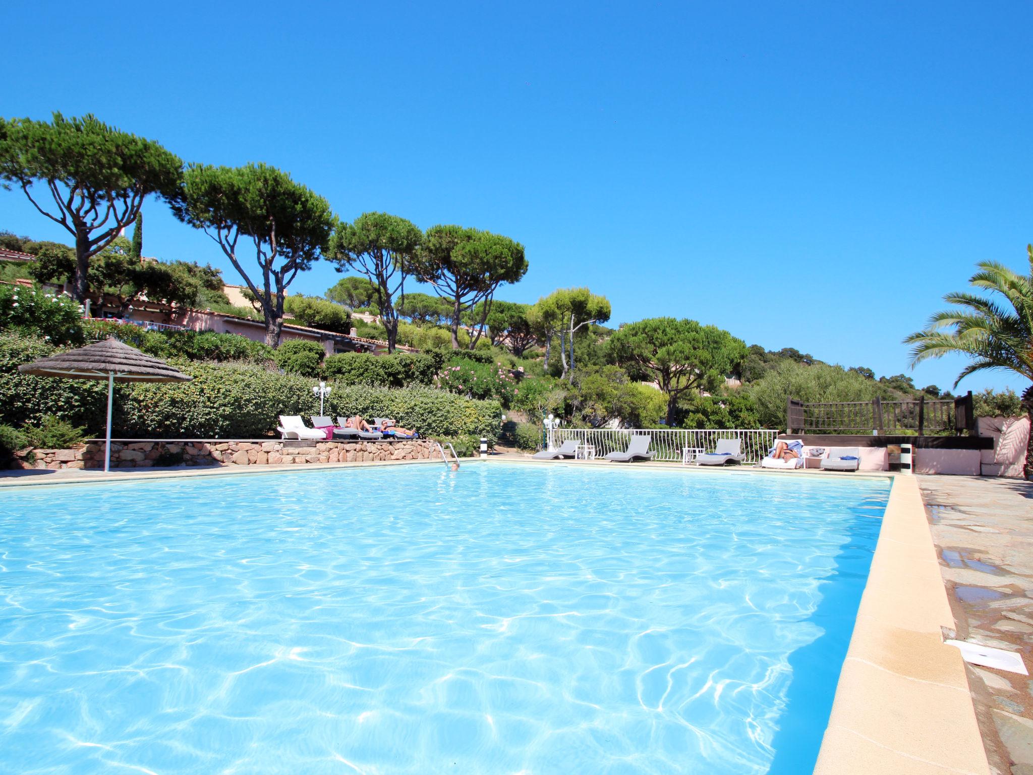 Foto 2 - Casa de 1 habitación en Porto-Vecchio con piscina y vistas al mar