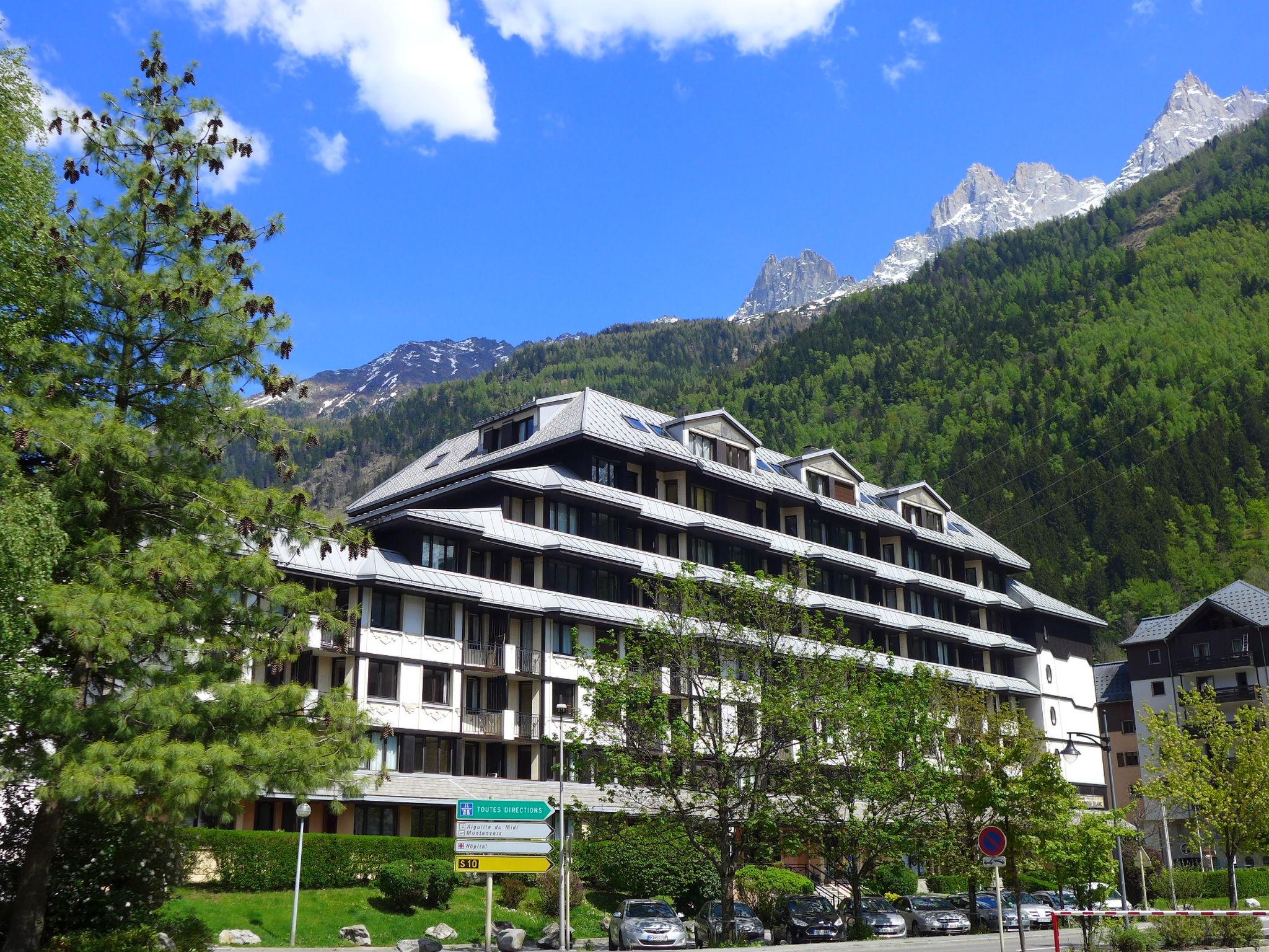 Foto 10 - Appartamento con 1 camera da letto a Chamonix-Mont-Blanc con vista sulle montagne