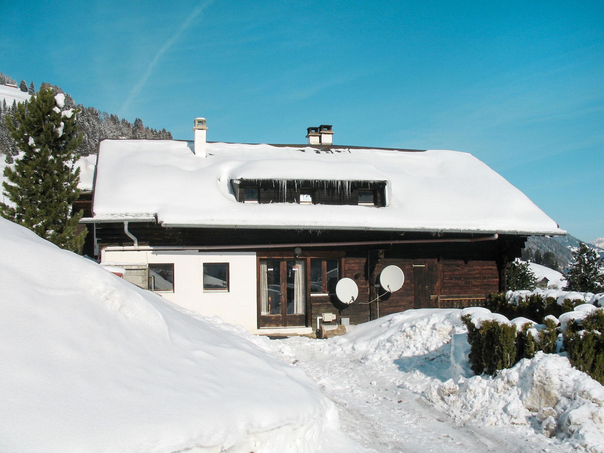 Foto 36 - Casa con 13 camere da letto a Champéry con giardino e sauna