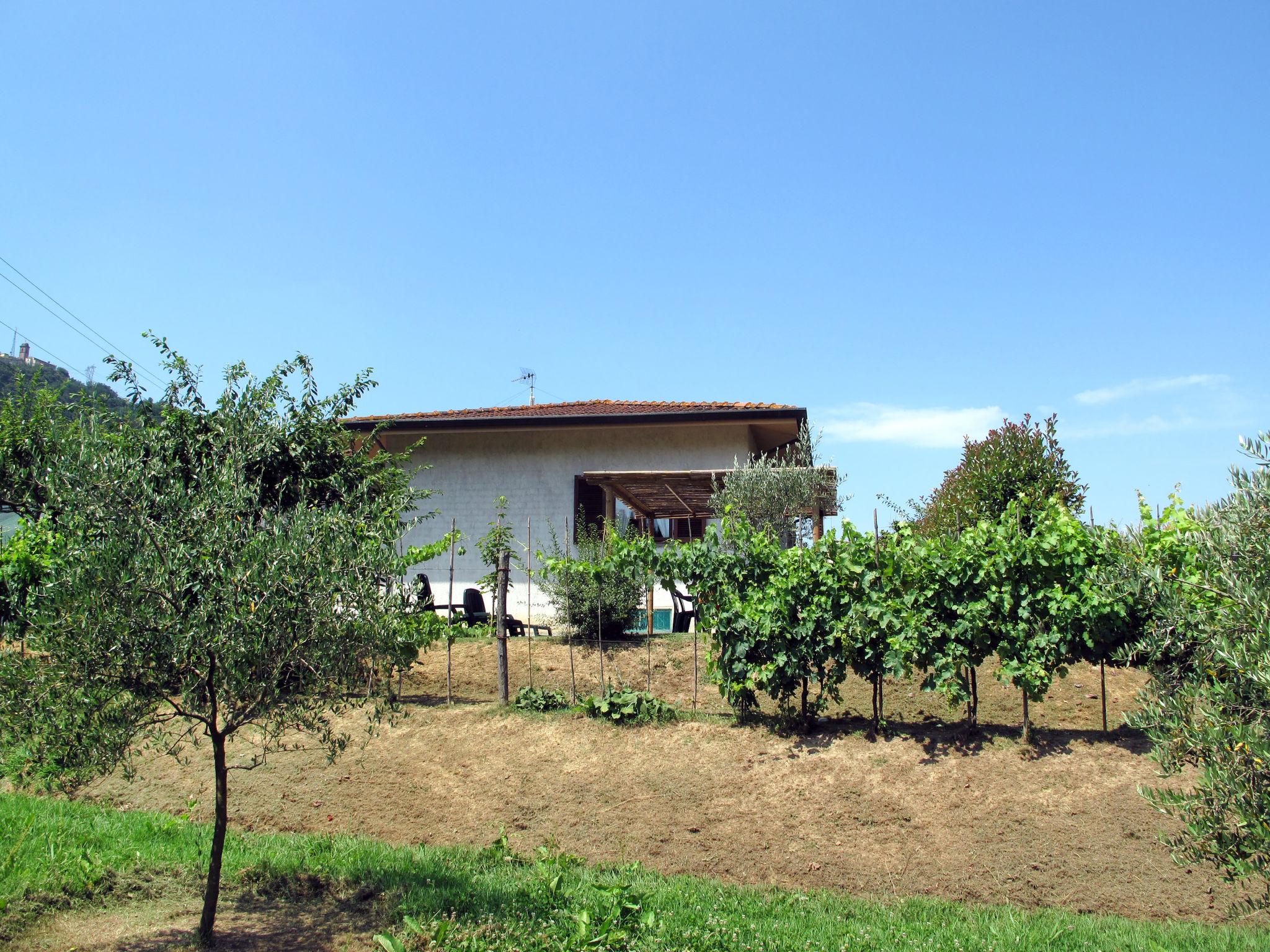 Photo 22 - Maison de 2 chambres à Camaiore avec jardin et vues à la mer