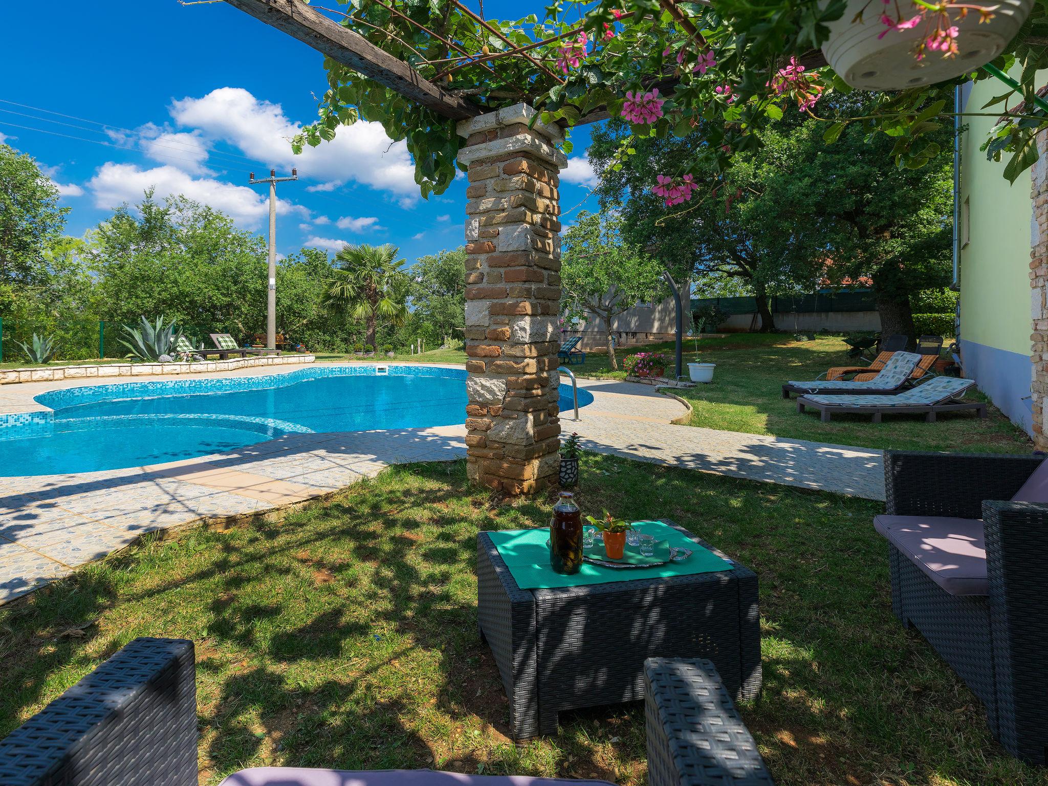 Foto 18 - Apartamento de 1 habitación en Pazin con piscina y terraza