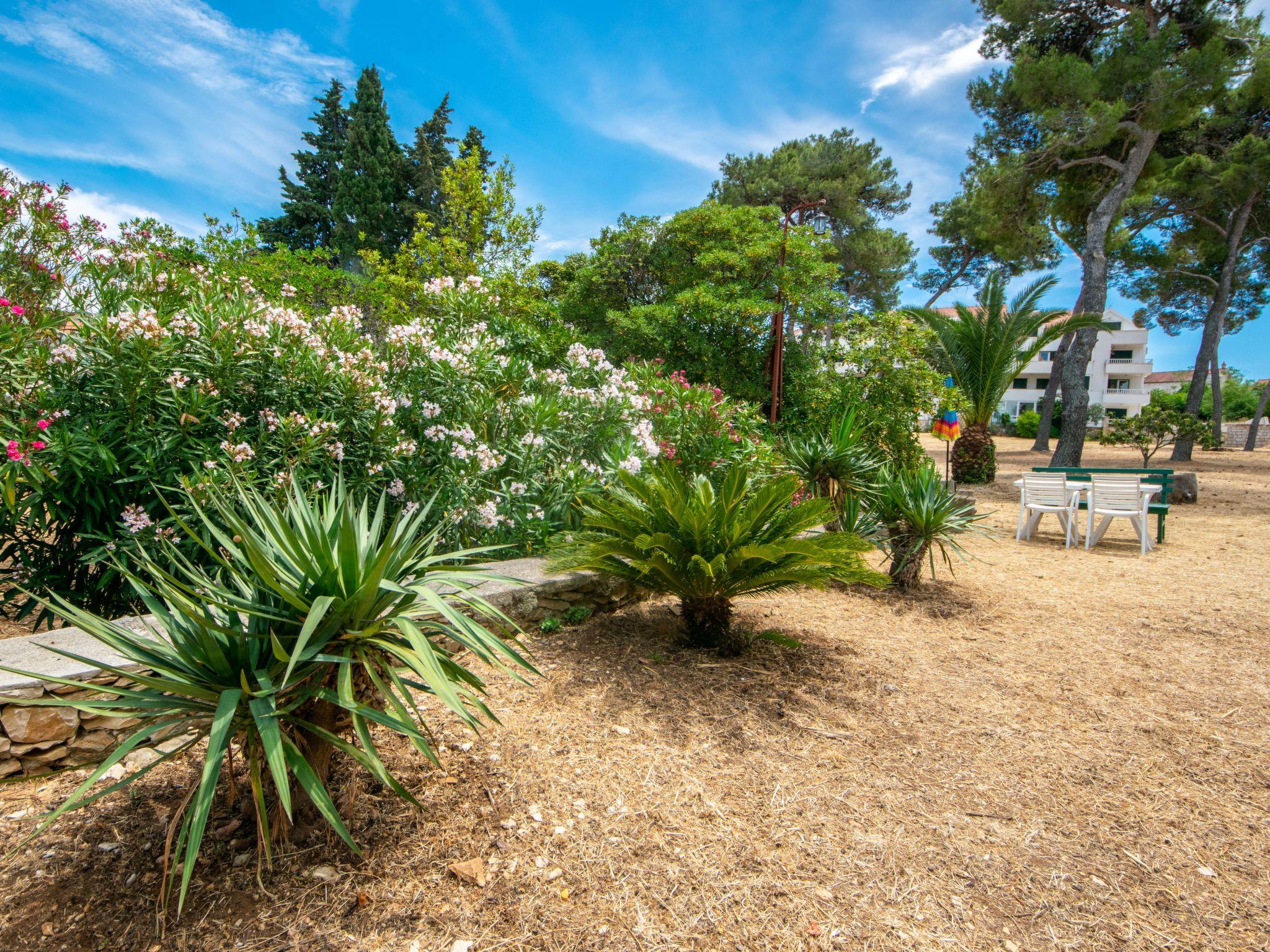 Photo 3 - Apartment in Sutivan with garden and terrace