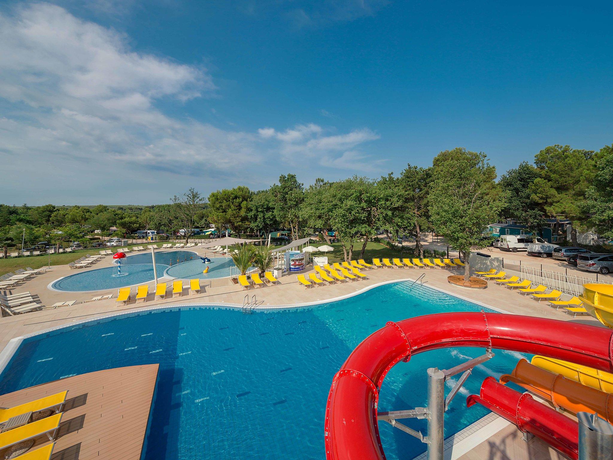 Foto 2 - Casa con 2 camere da letto a Tar-Vabriga con piscina e vista mare