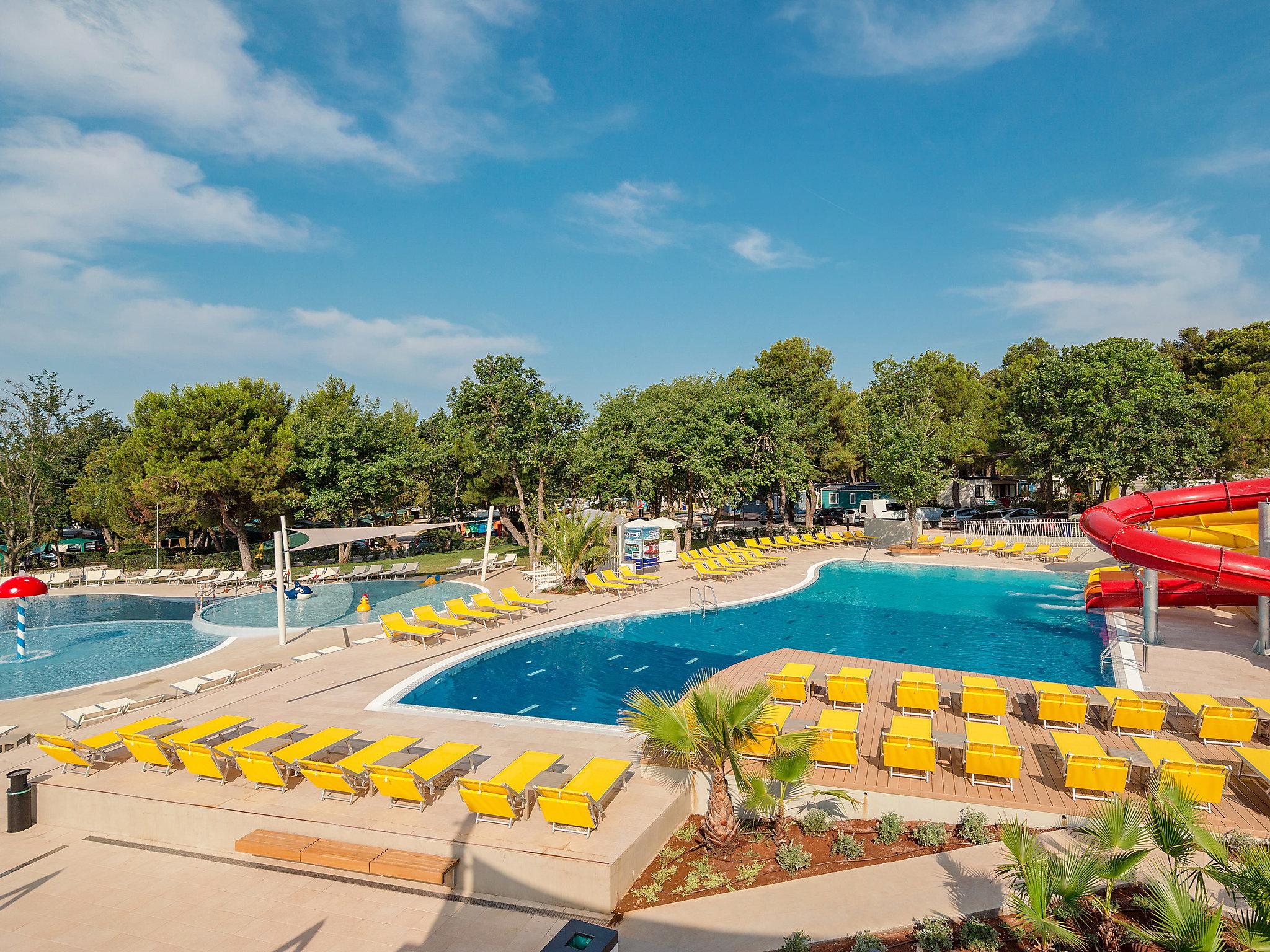 Photo 11 - Maison de 2 chambres à Tar-Vabriga avec piscine et vues à la mer