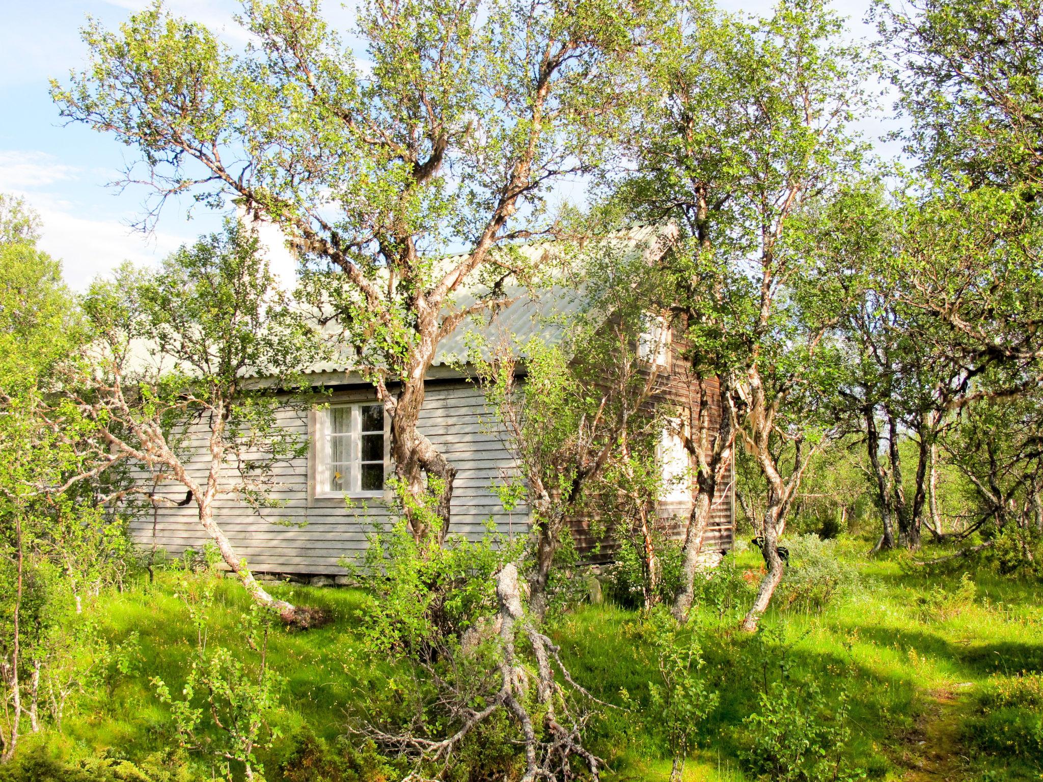 Foto 6 - Casa de 3 habitaciones en Idre con terraza y sauna