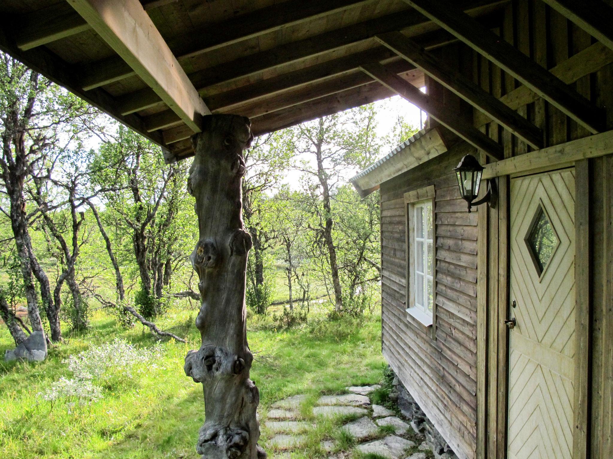 Photo 4 - Maison de 3 chambres à Idre avec jardin et terrasse