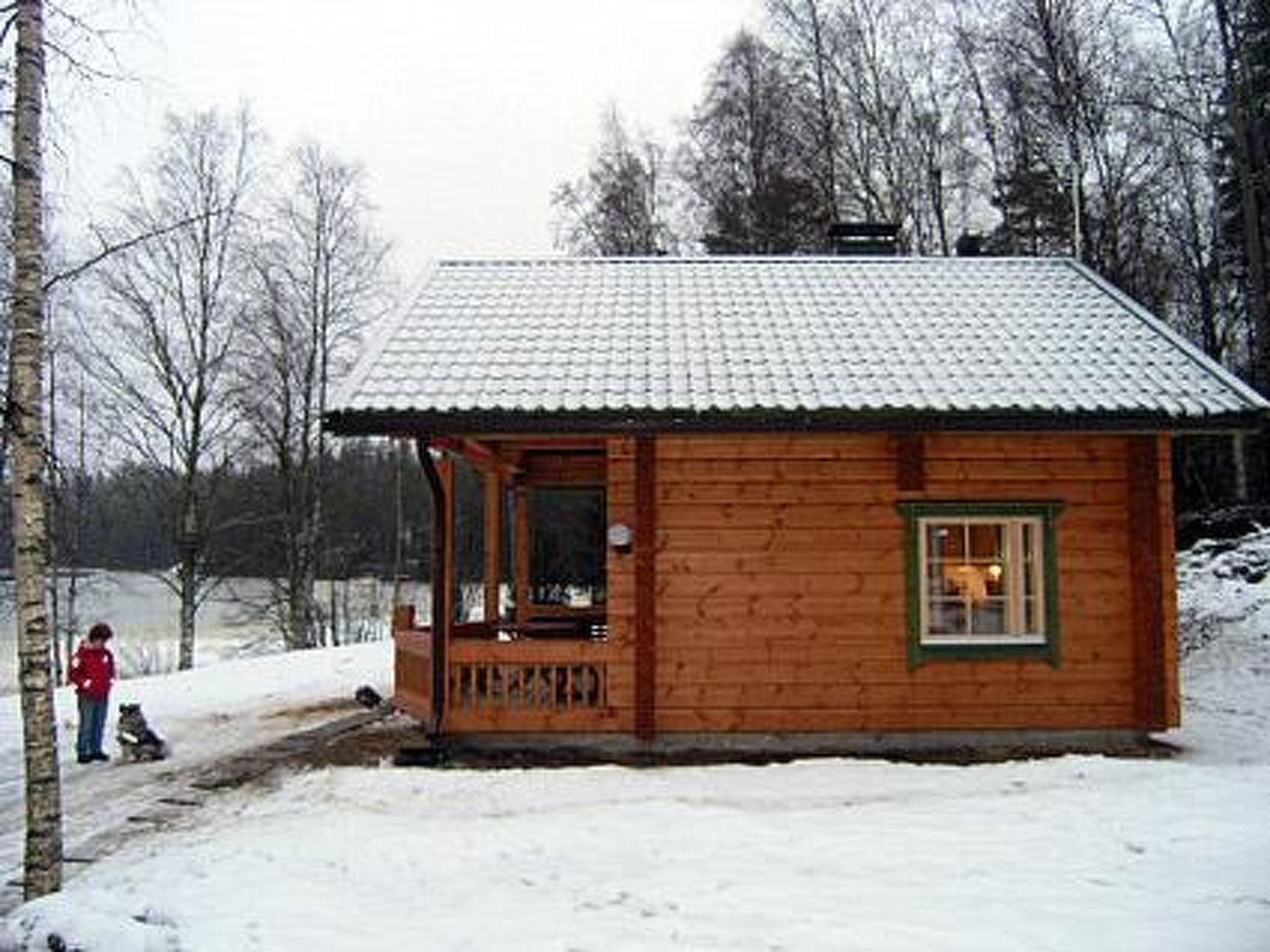 Photo 8 - Maison de 1 chambre à Ruovesi avec sauna