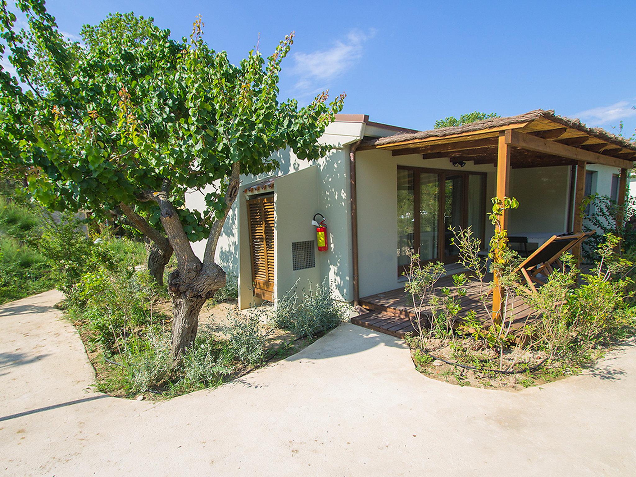 Foto 2 - Haus mit 2 Schlafzimmern in Castiglione della Pescaia mit schwimmbad und garten