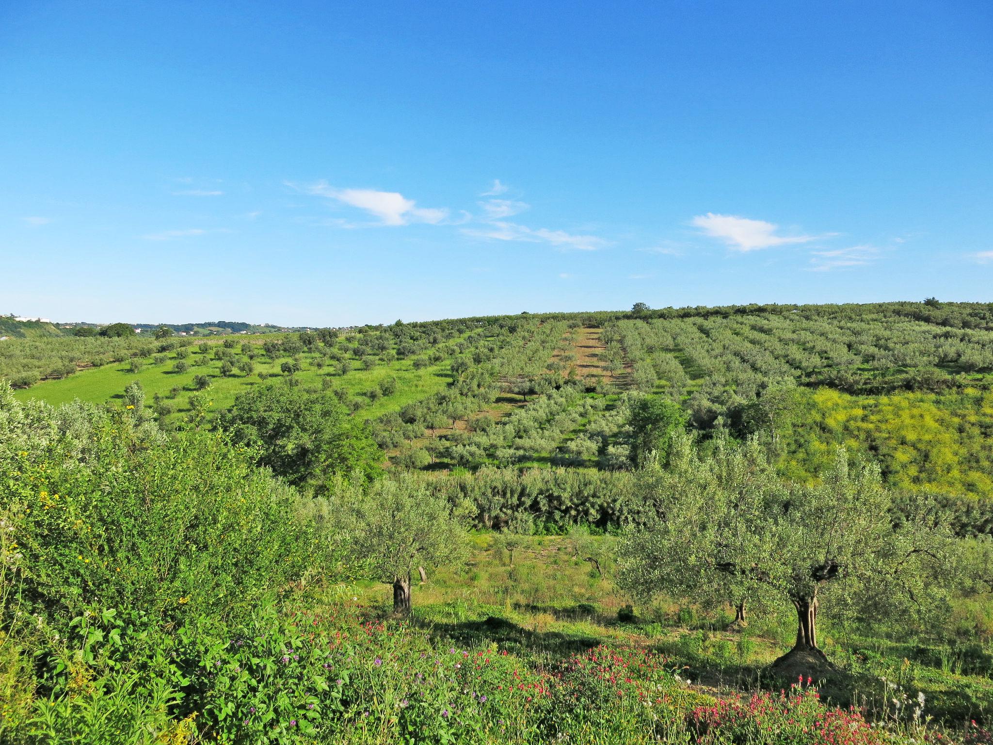 Photo 17 - 5 bedroom House in Penne with private pool and mountain view