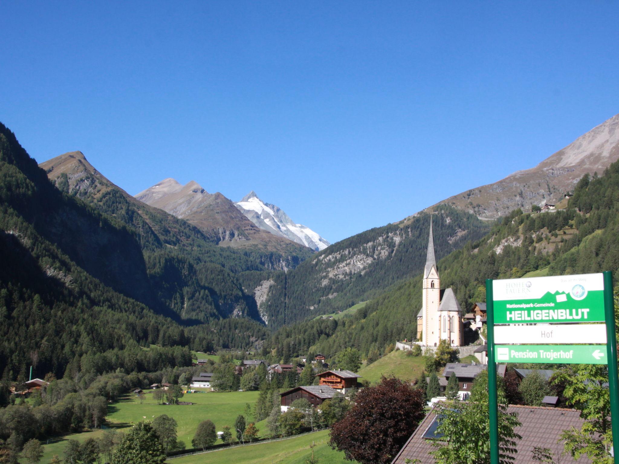 Photo 16 - Appartement en Heiligenblut am Großglockner avec vues sur la montagne