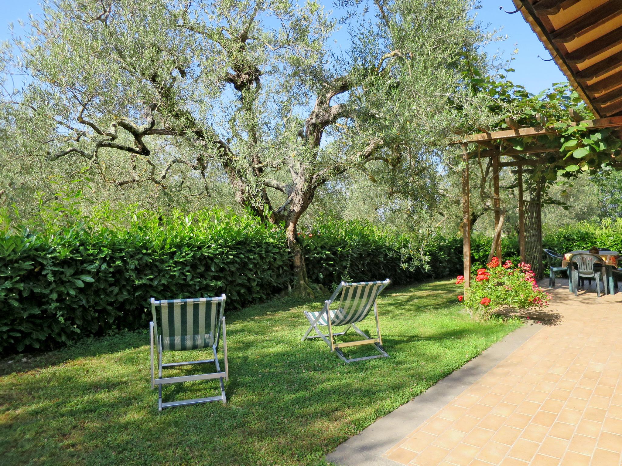 Photo 4 - Maison de 2 chambres à Montefiascone avec jardin et terrasse