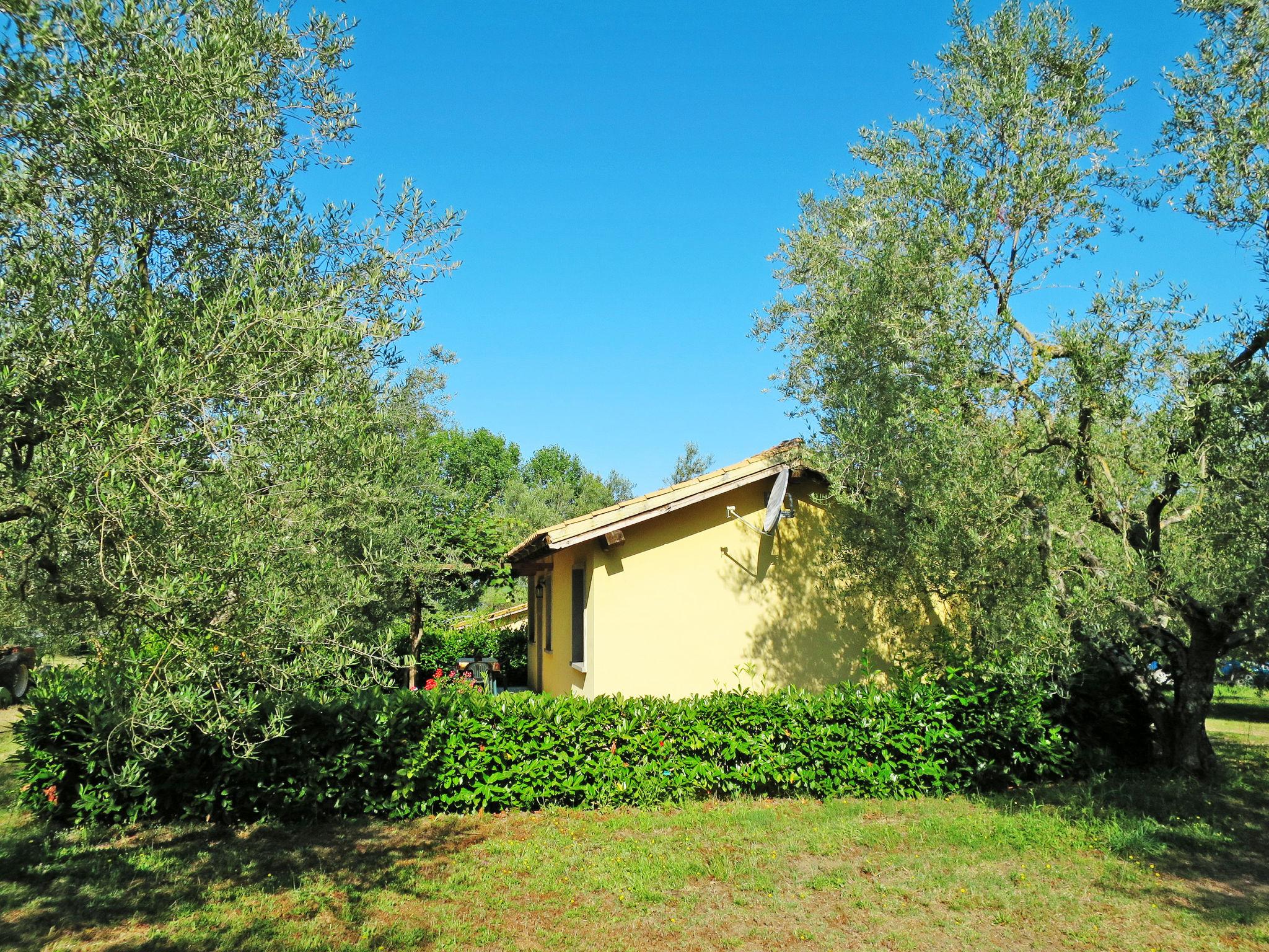 Photo 5 - Maison de 2 chambres à Montefiascone avec jardin et terrasse