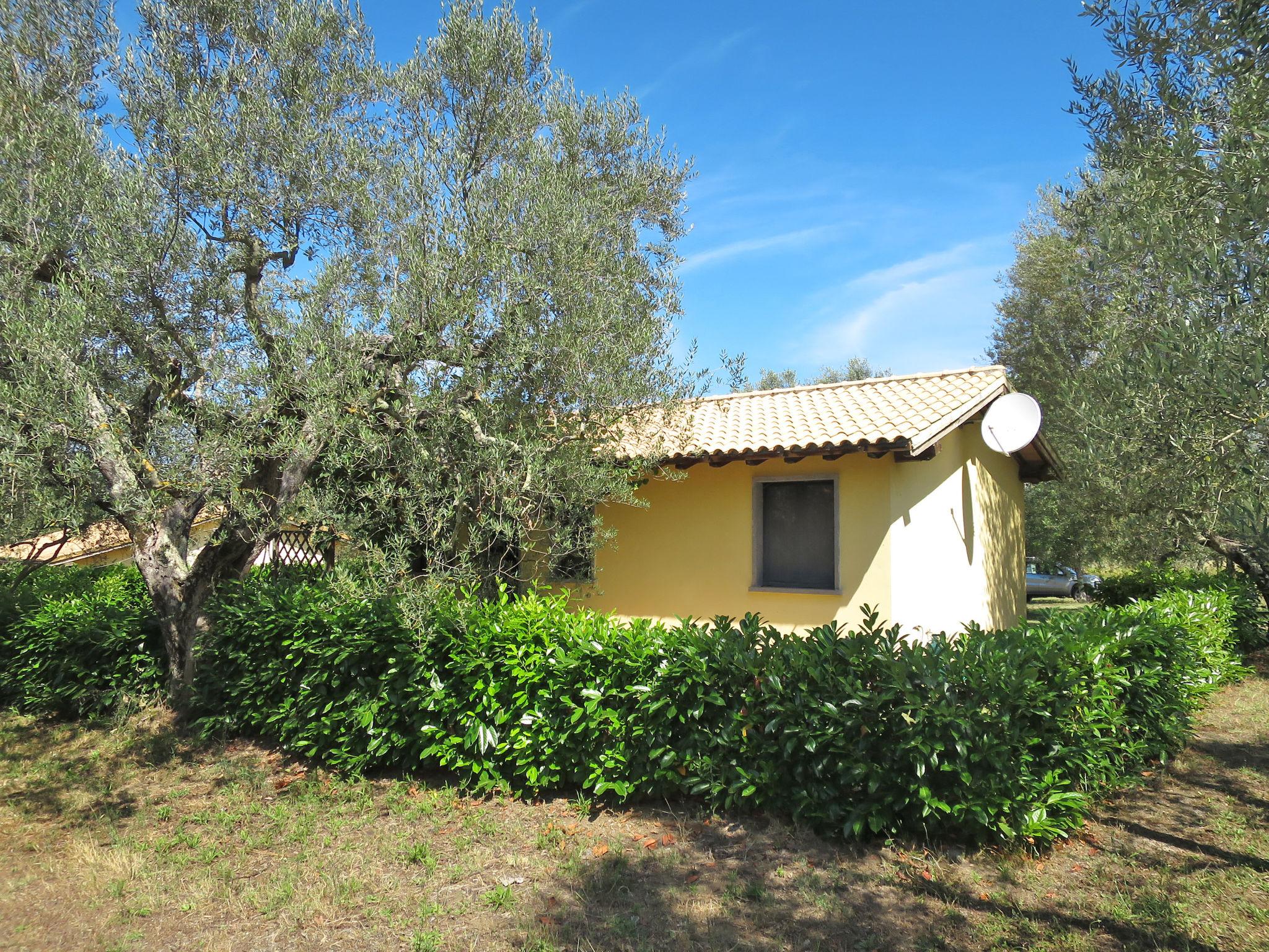 Foto 16 - Casa de 2 habitaciones en Montefiascone con jardín y terraza
