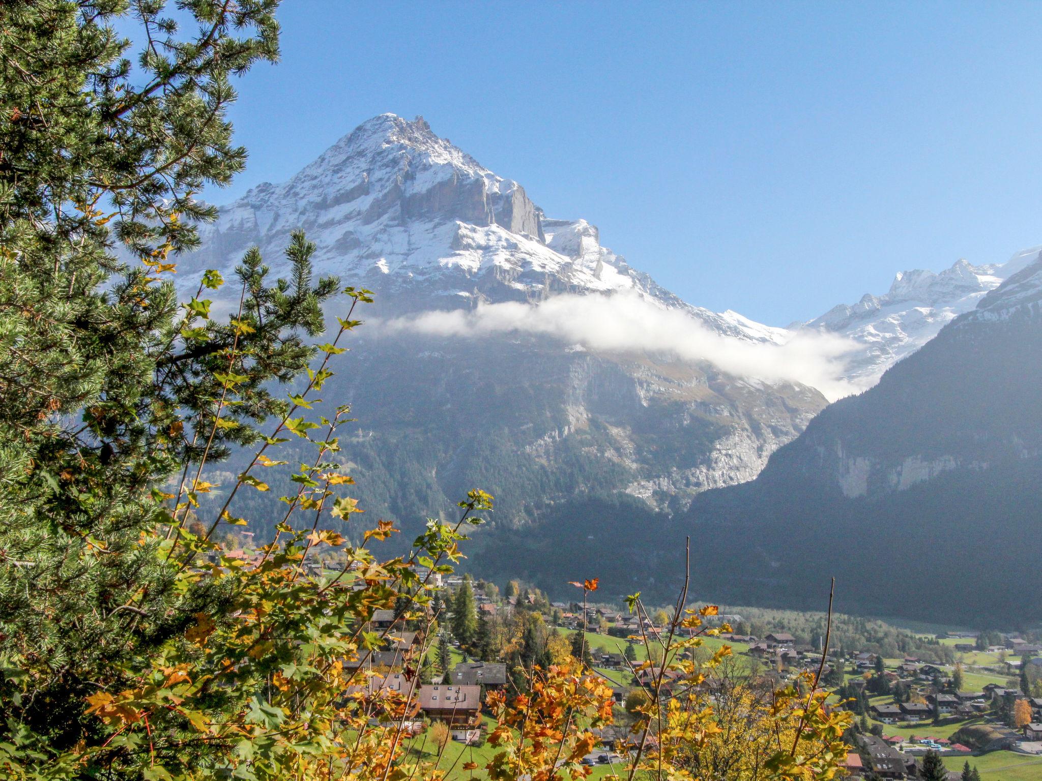 Foto 2 - Apartamento de 3 quartos em Grindelwald com terraço