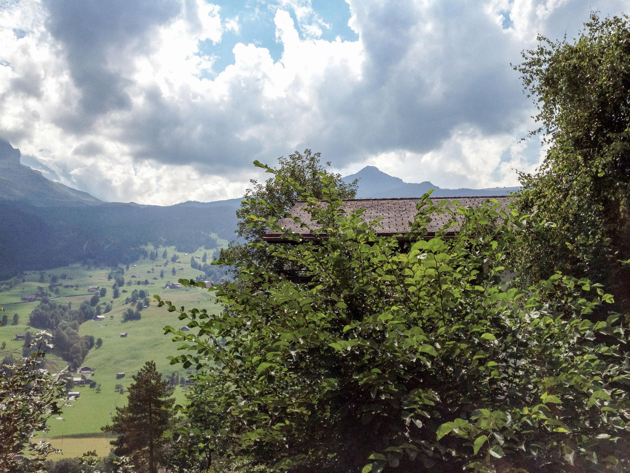 Foto 26 - Apartamento de 3 quartos em Grindelwald com terraço