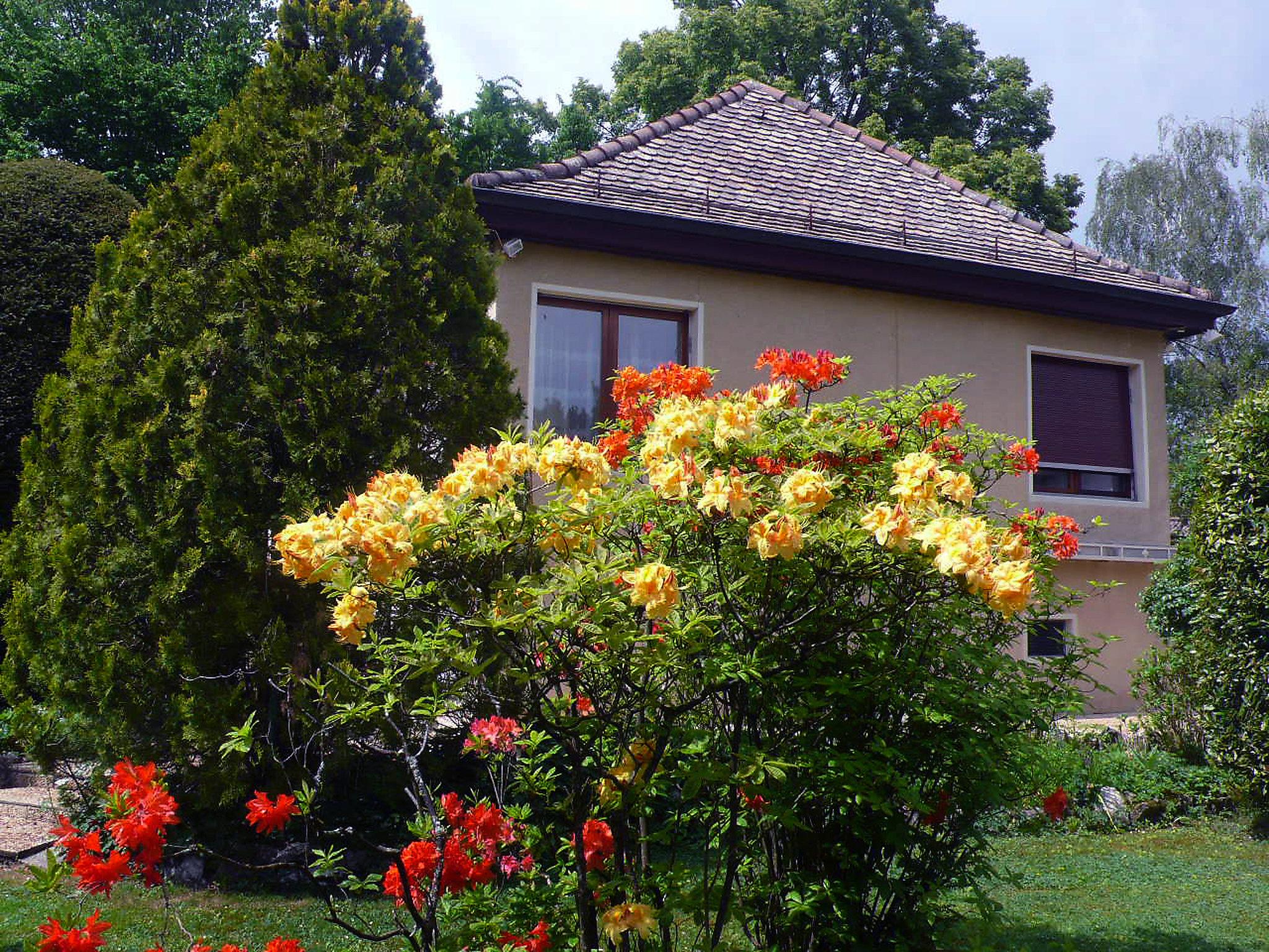 Photo 24 - Maison de 1 chambre à Genthod avec piscine et jardin