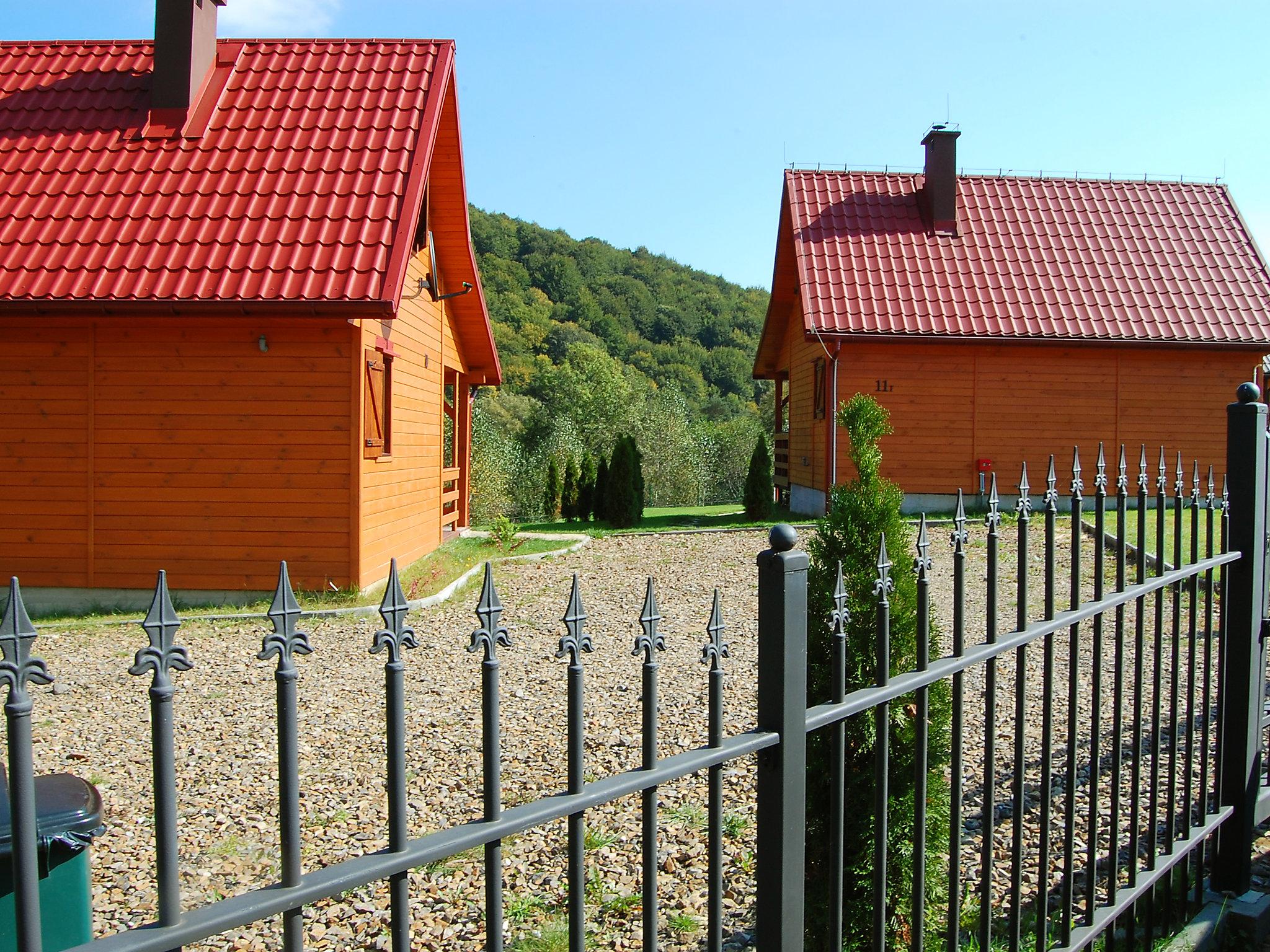 Foto 16 - Haus mit 2 Schlafzimmern in Solina mit terrasse und blick auf die berge